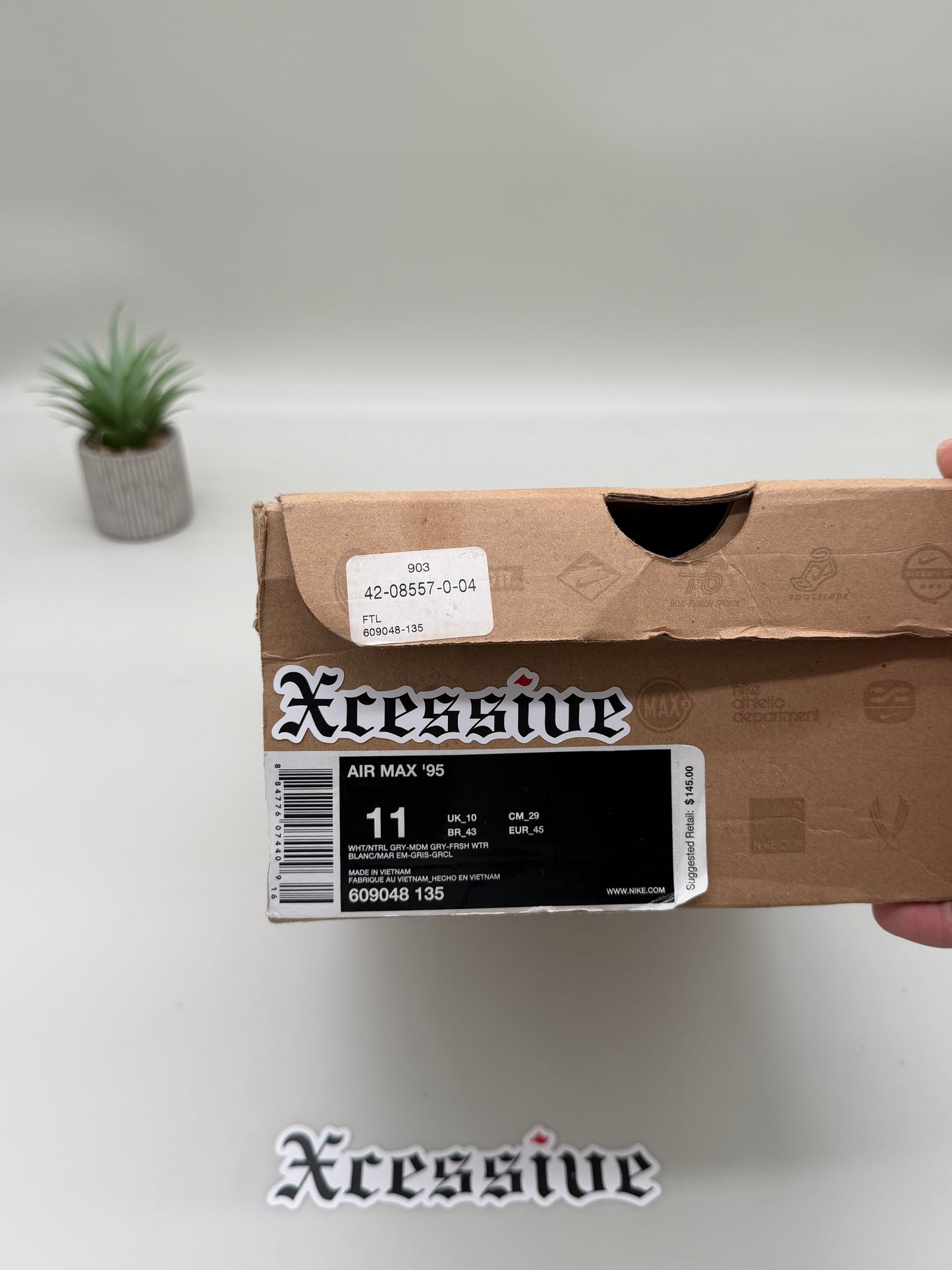 Nike Air Max 95 Freshwater (2009)