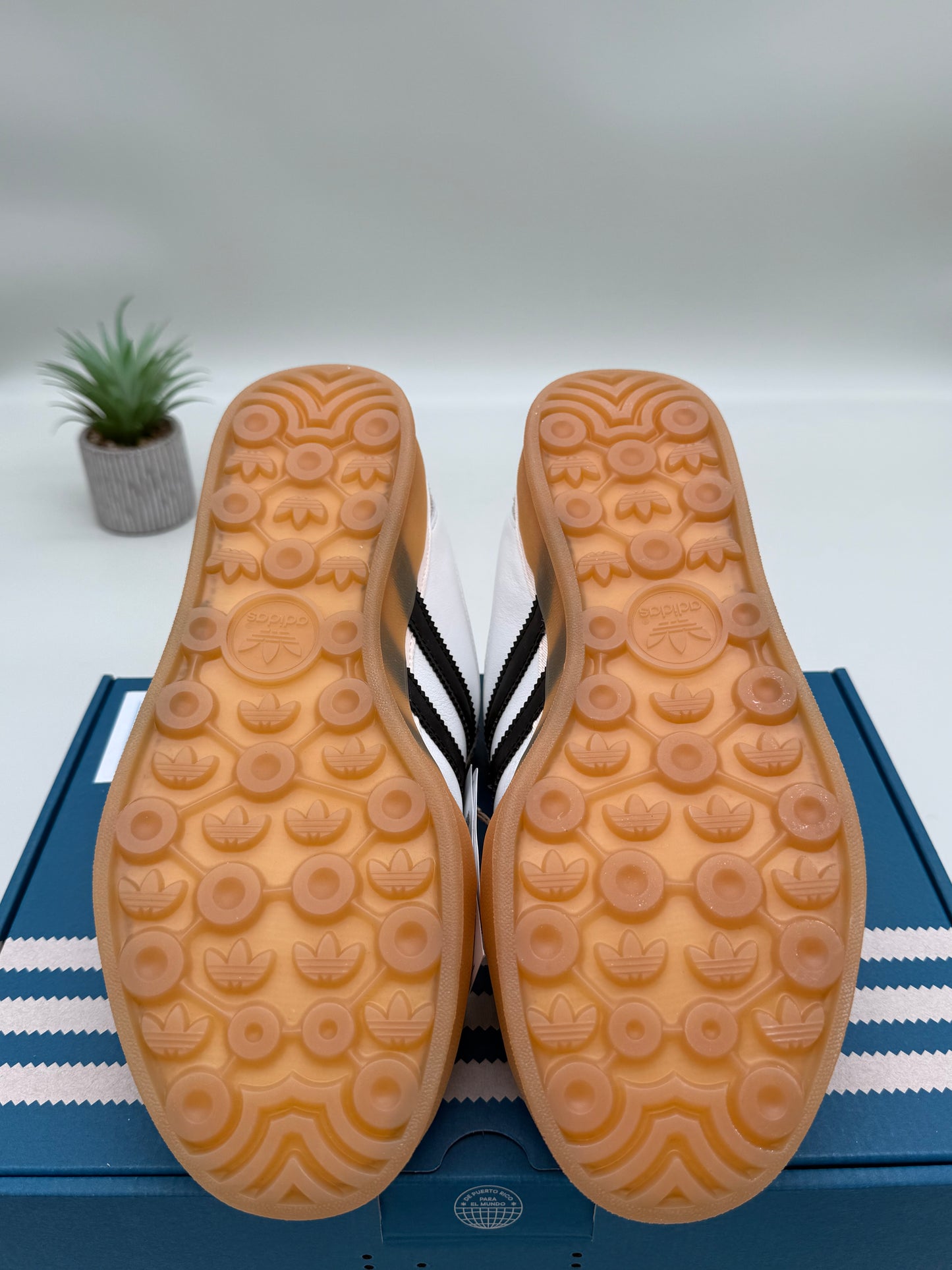 adidas Gazelle Indoor Bad Bunny
