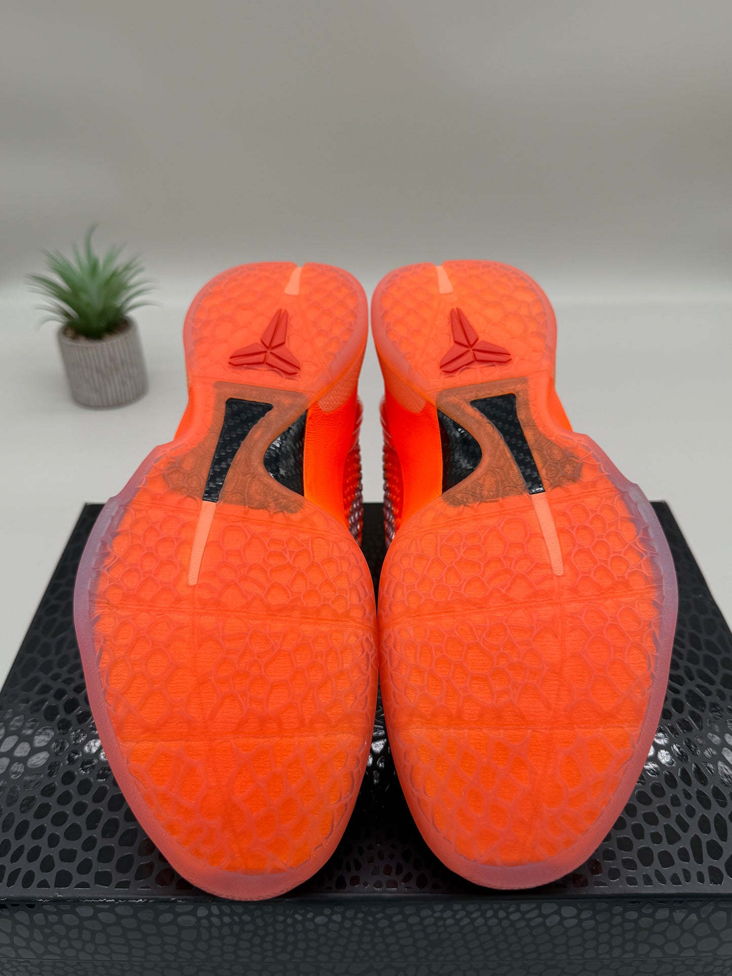 Nike Kobe 6 Total Orange