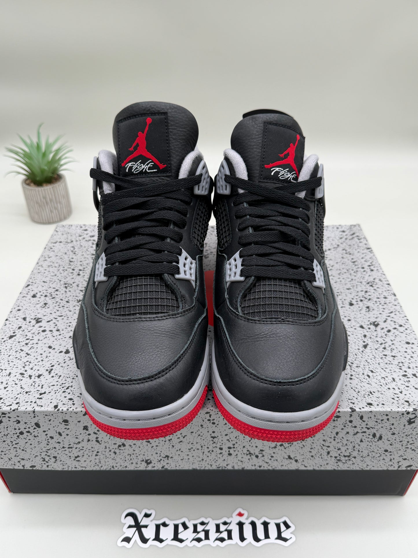 Jordan 4 Bred Reimagined