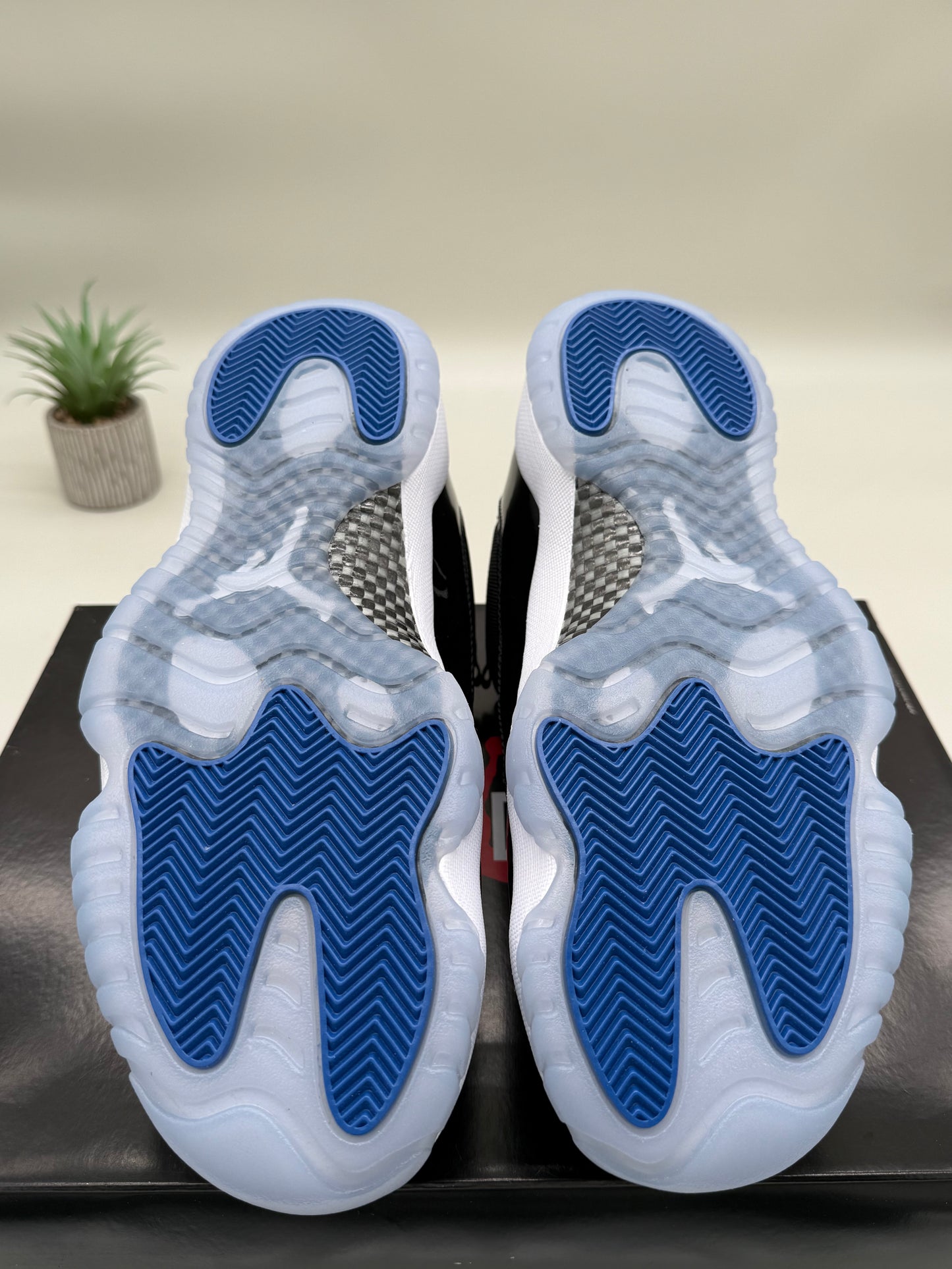 Jordan 11 Low Space Jam