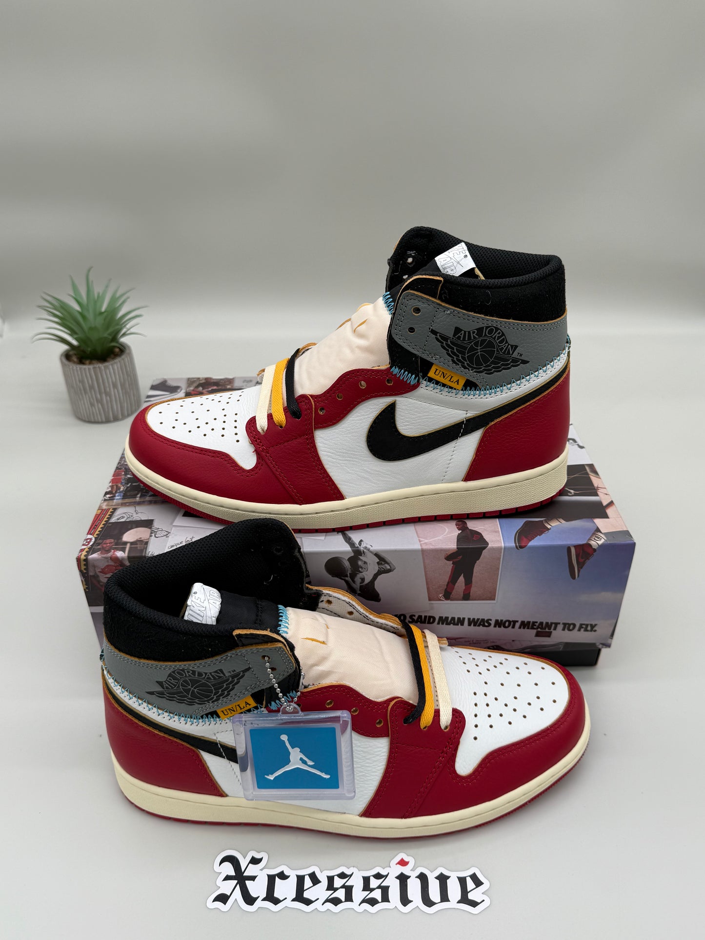 Jordan 1 Union Chicago Shadow