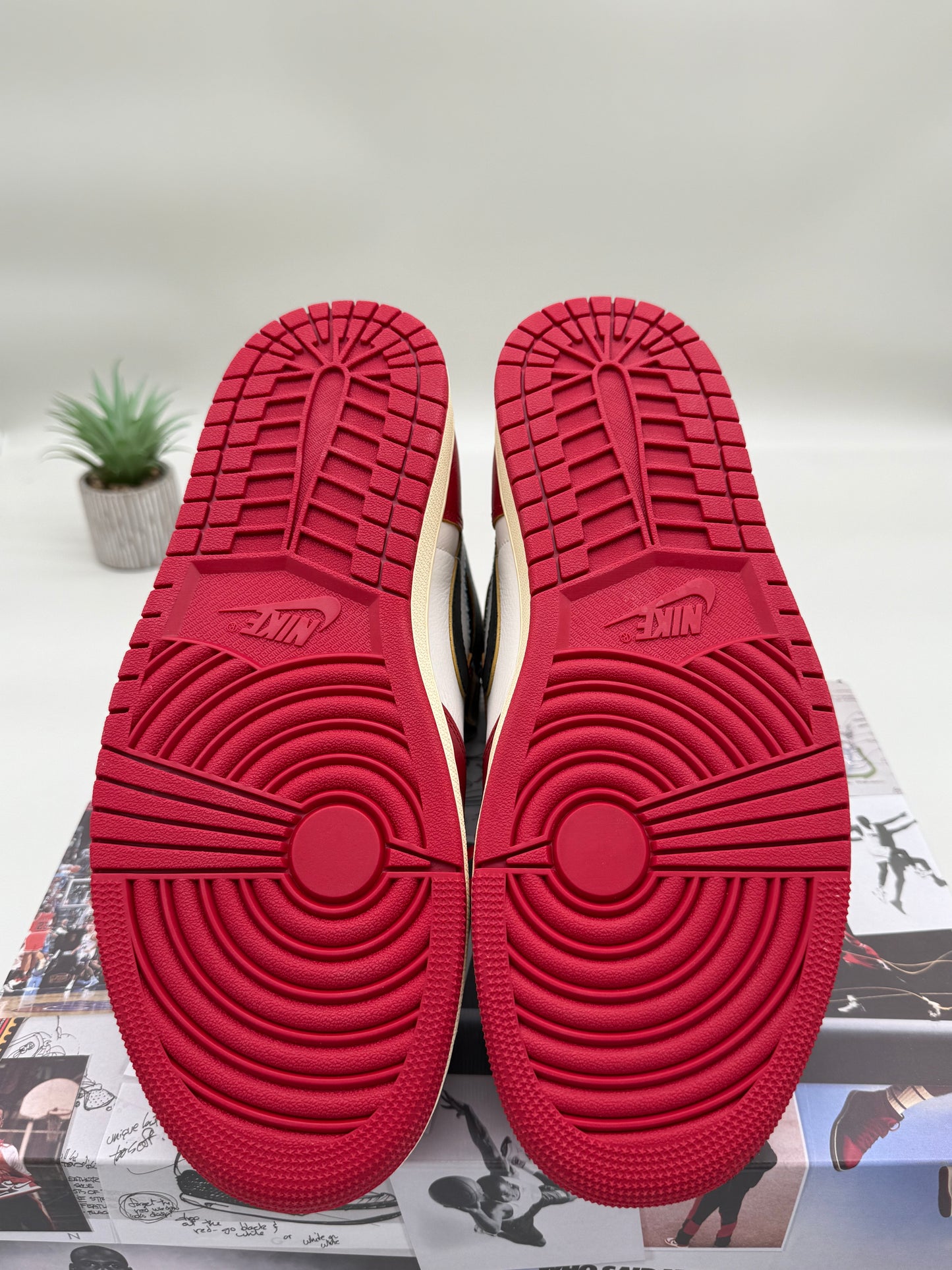 Jordan 1 Union Chicago Shadow
