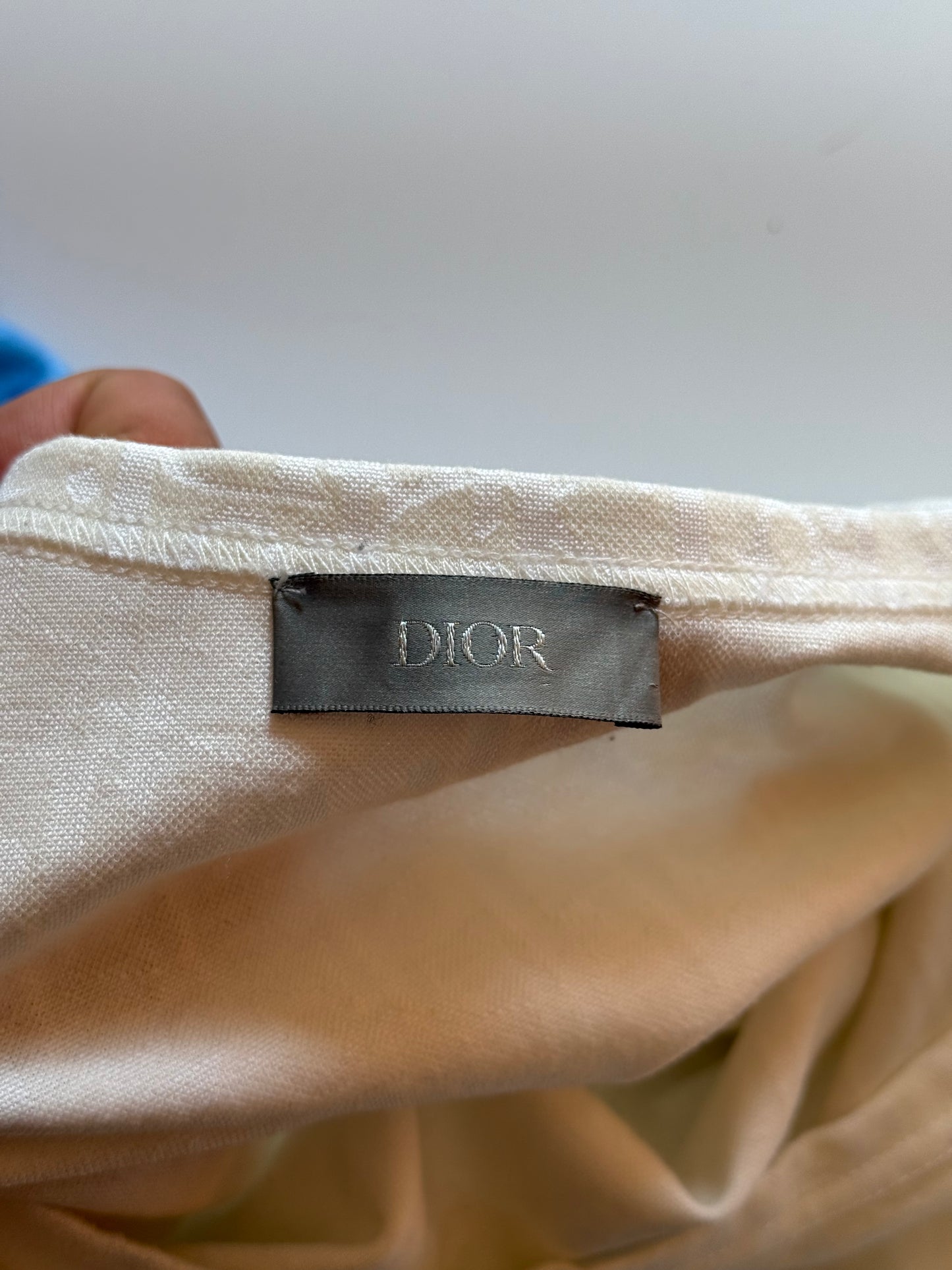 Dior Oblique Blue Gradient Tee