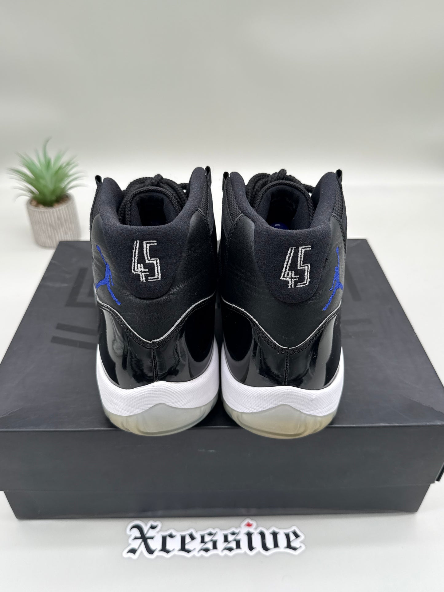 Jordan 11 Space Jam