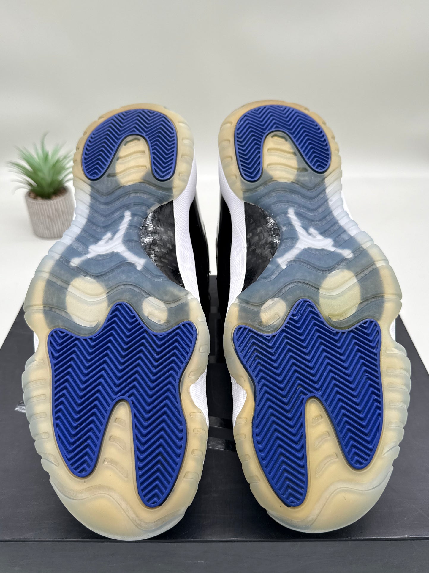 Jordan 11 Space Jam