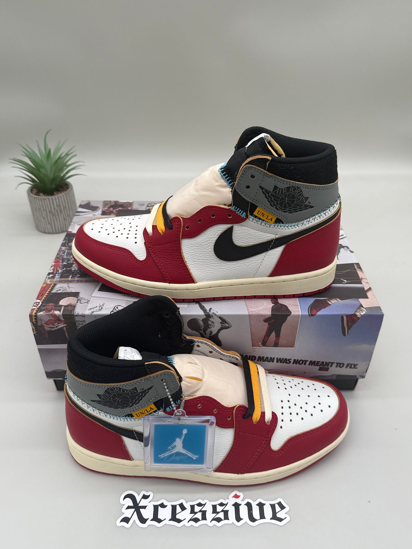 Jordan 1 Union Chicago Shadow