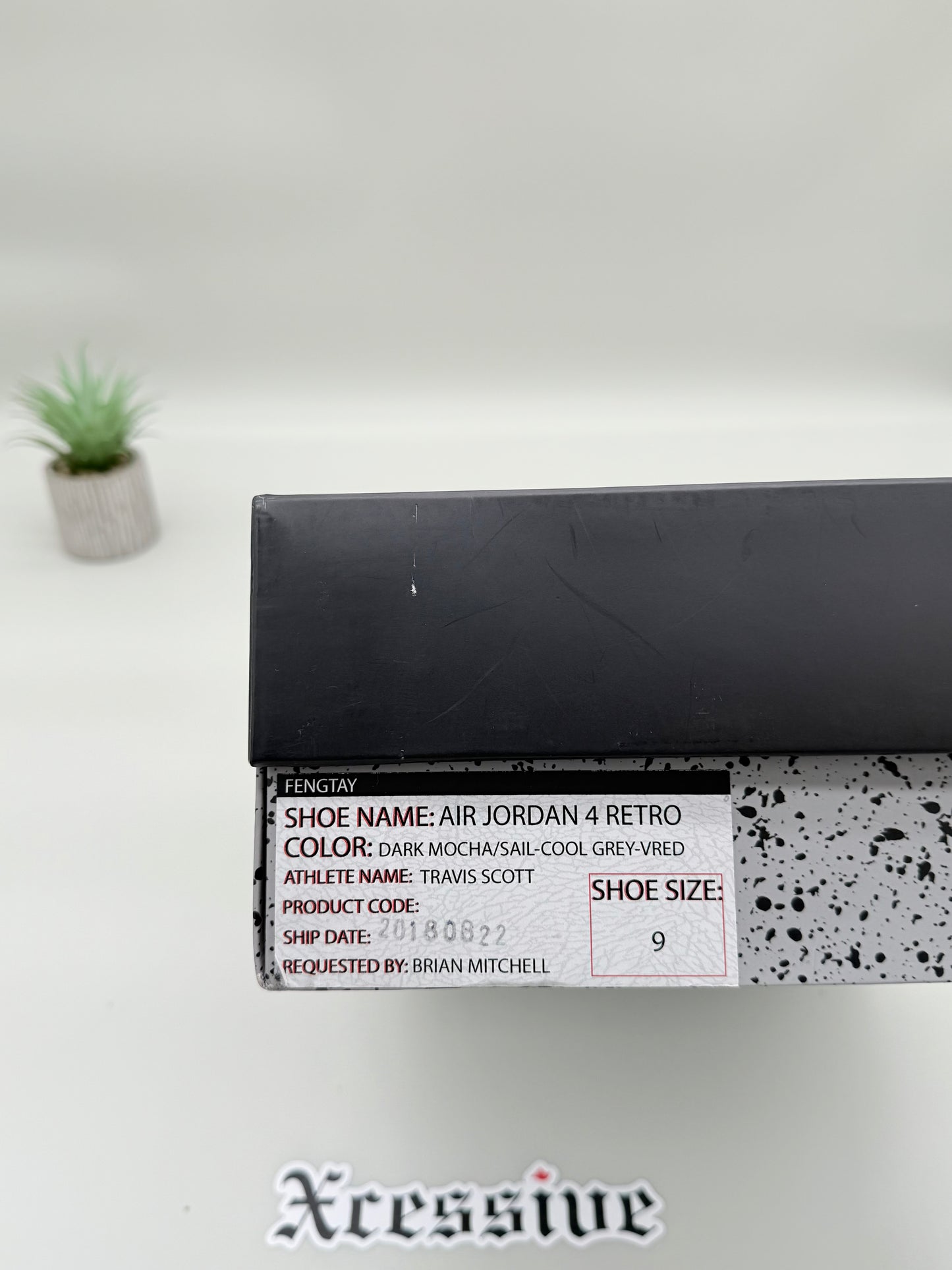 Jordan 4 Travis Scott Mocha F&F