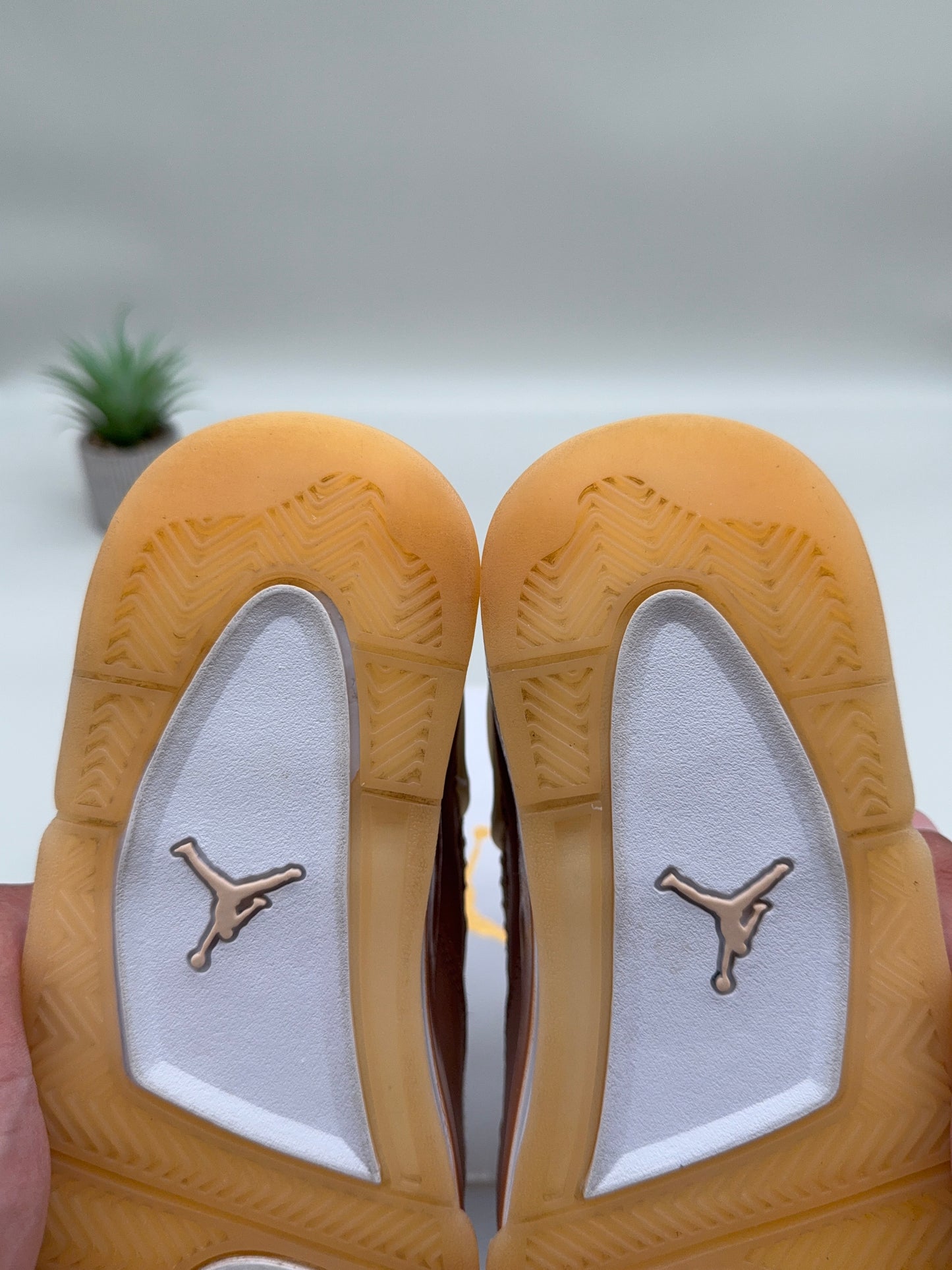 Jordan 4 Shimmer
