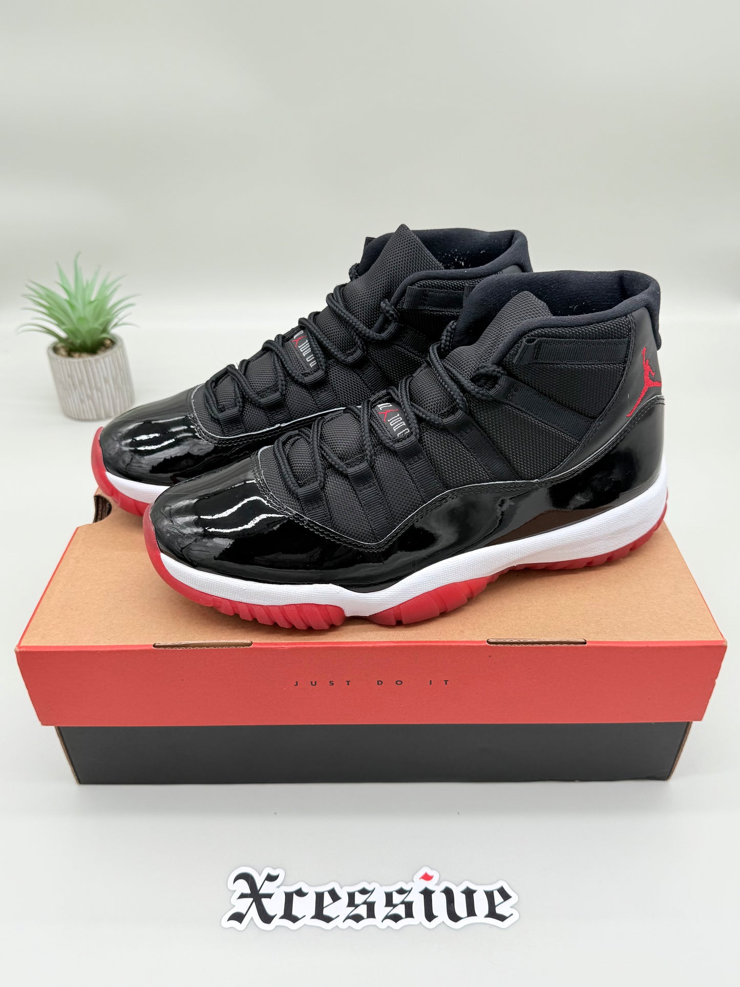 Jordan 11 Bred
