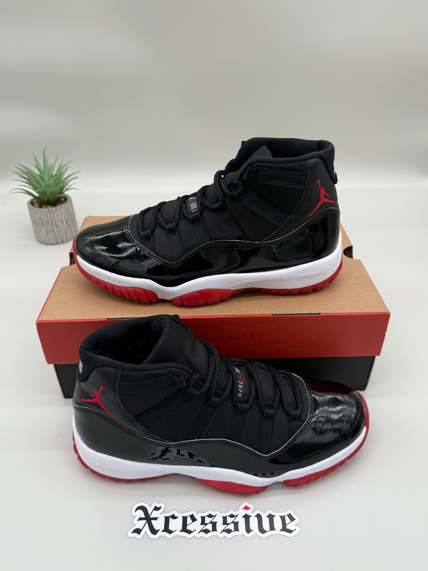 Jordan 11 Bred