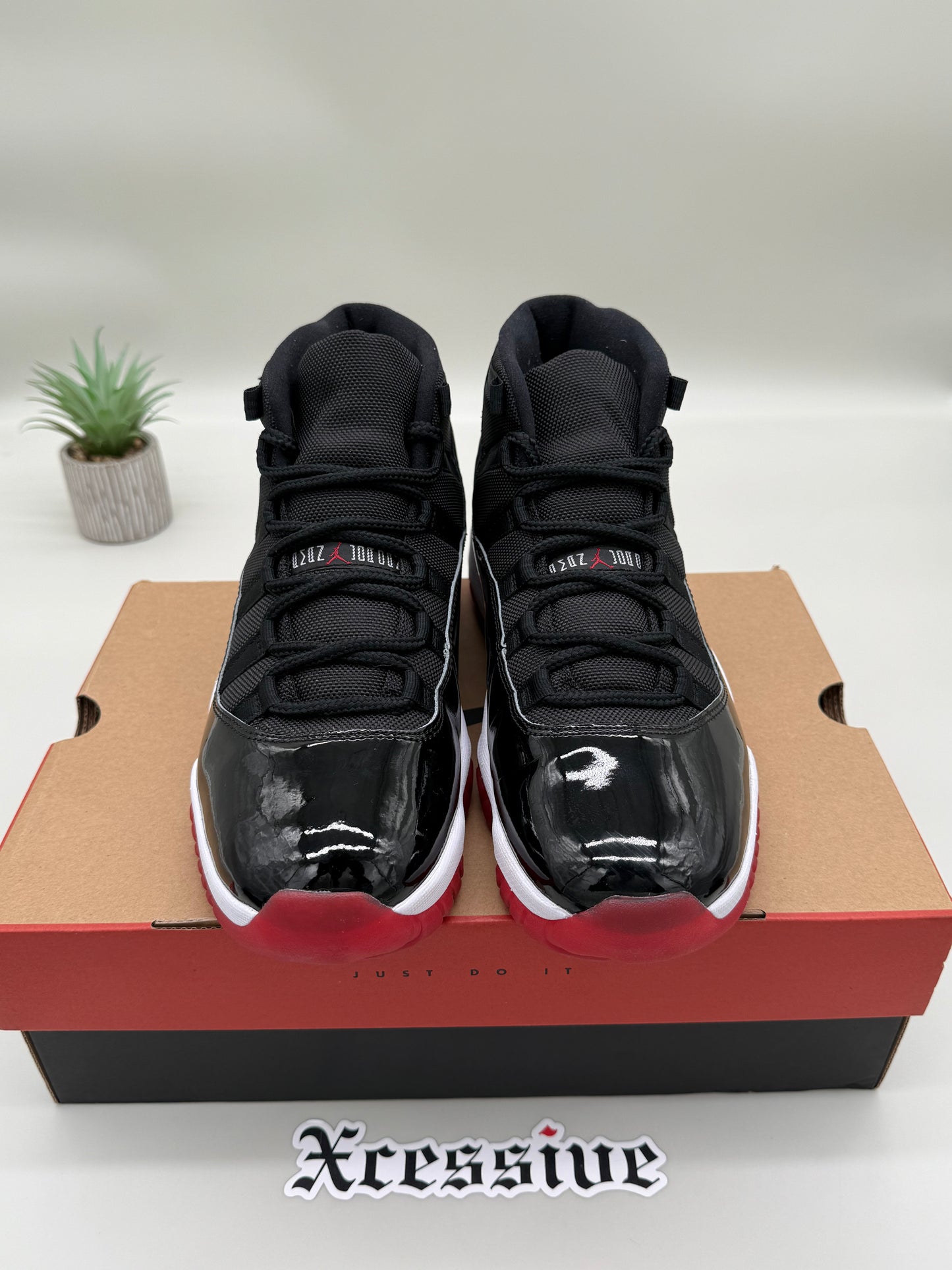 Jordan 11 Bred