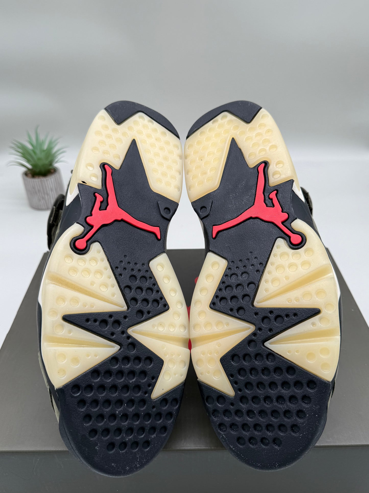 Jordan 6 Travis Scott Olive