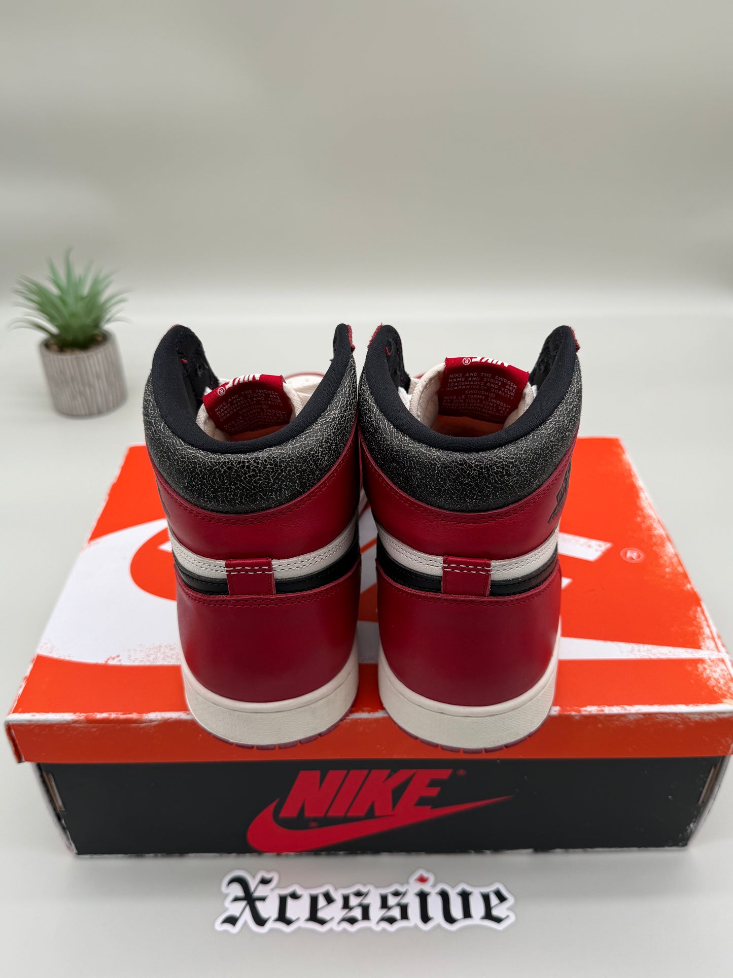 Jordan 1 Lost & Found