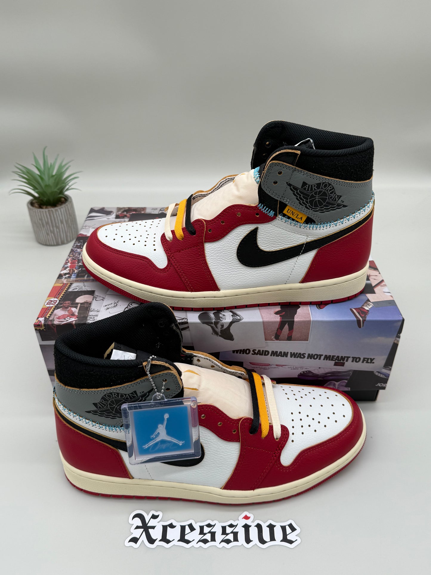 Jordan 1 Union Chicago Shadow