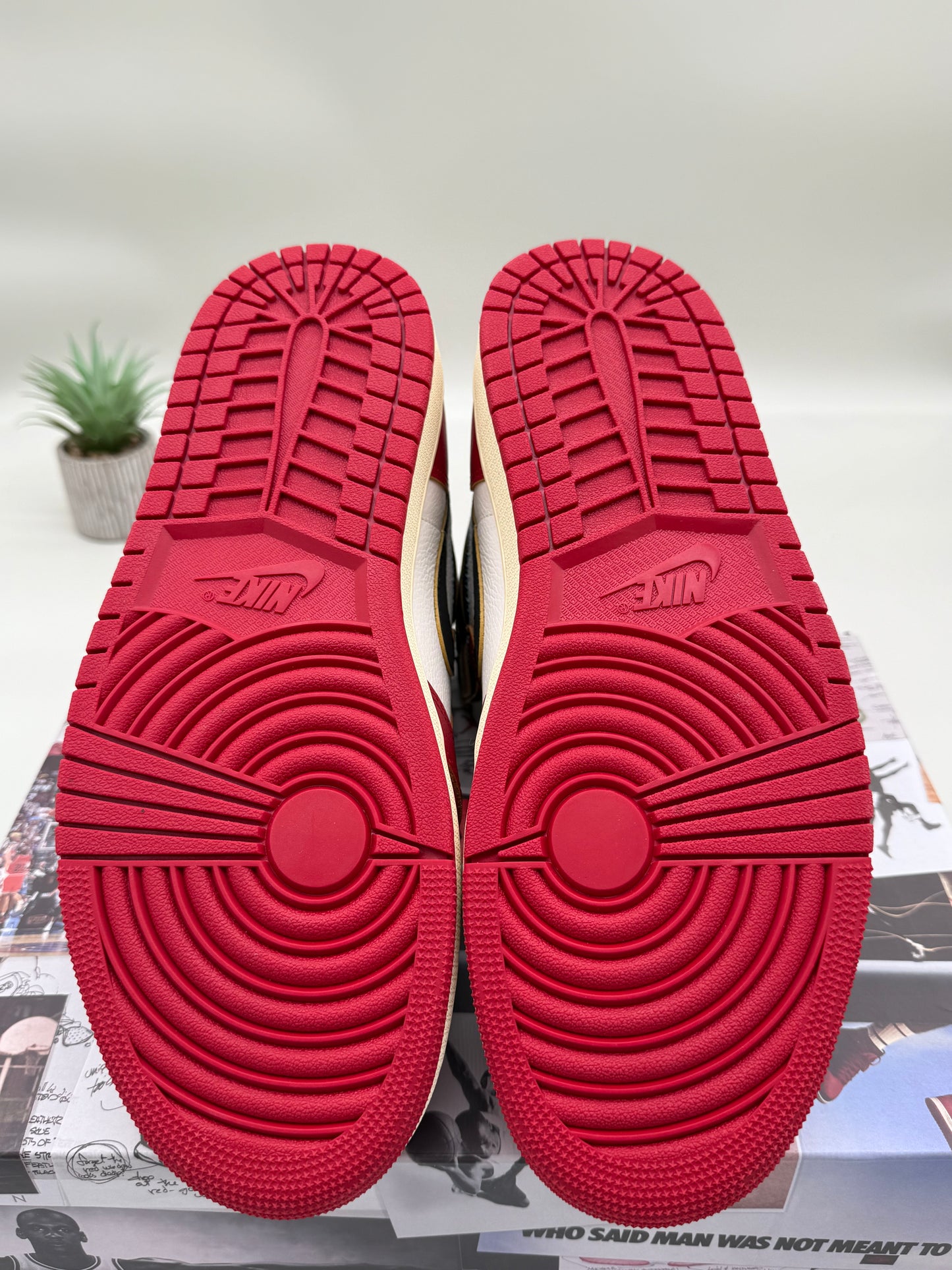Jordan 1 Union Chicago Shadow