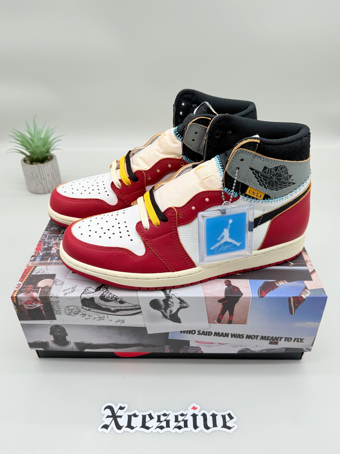 Jordan 1 Union Chicago Shadow