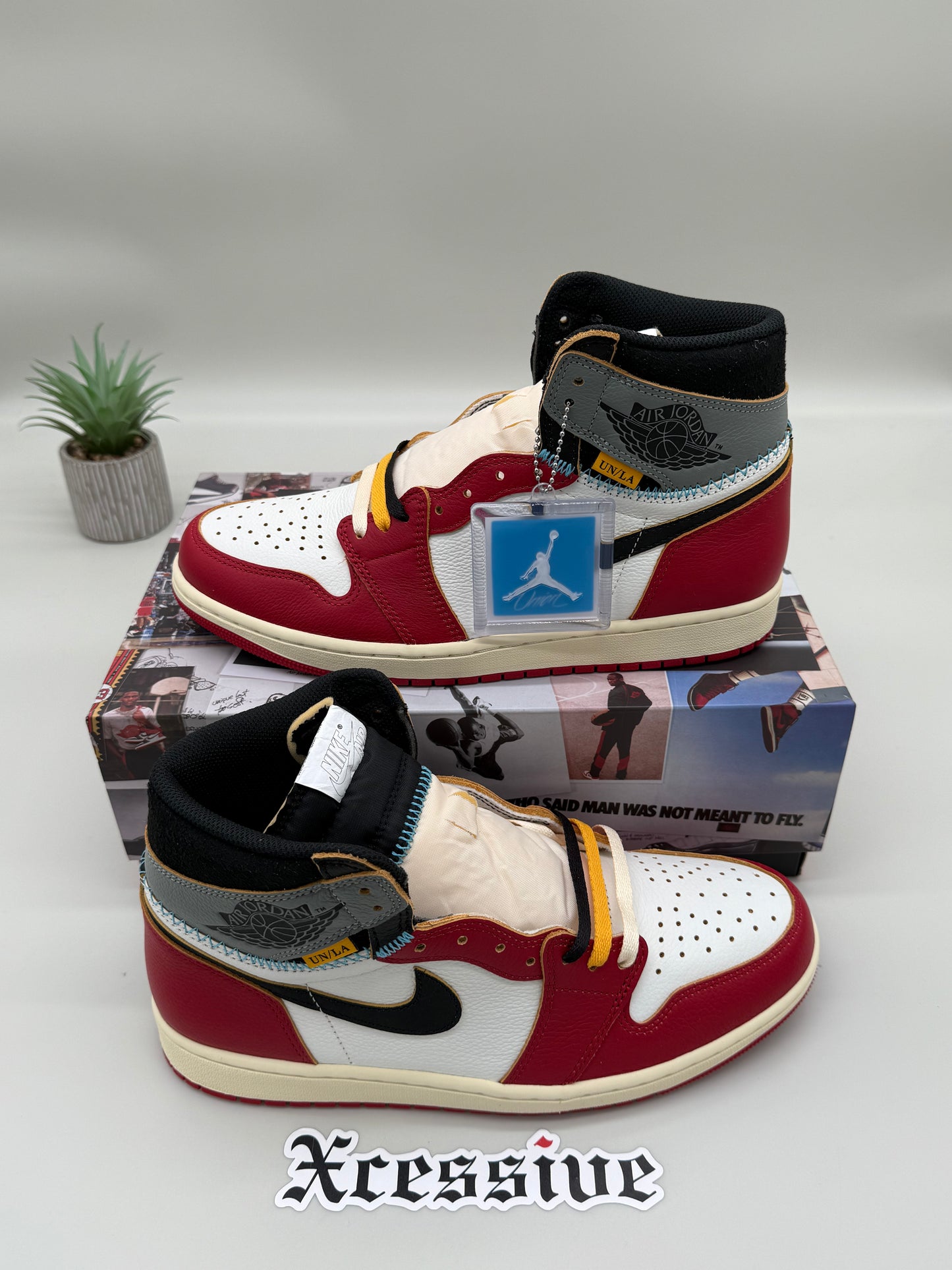 Jordan 1 Union Chicago Shadow