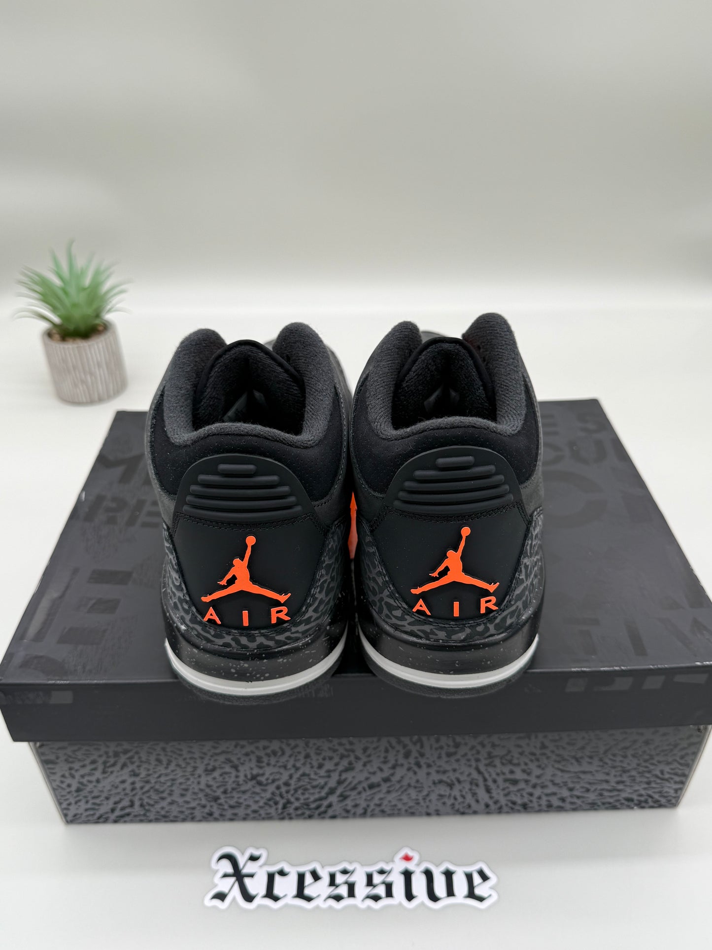 Jordan 3 Fear