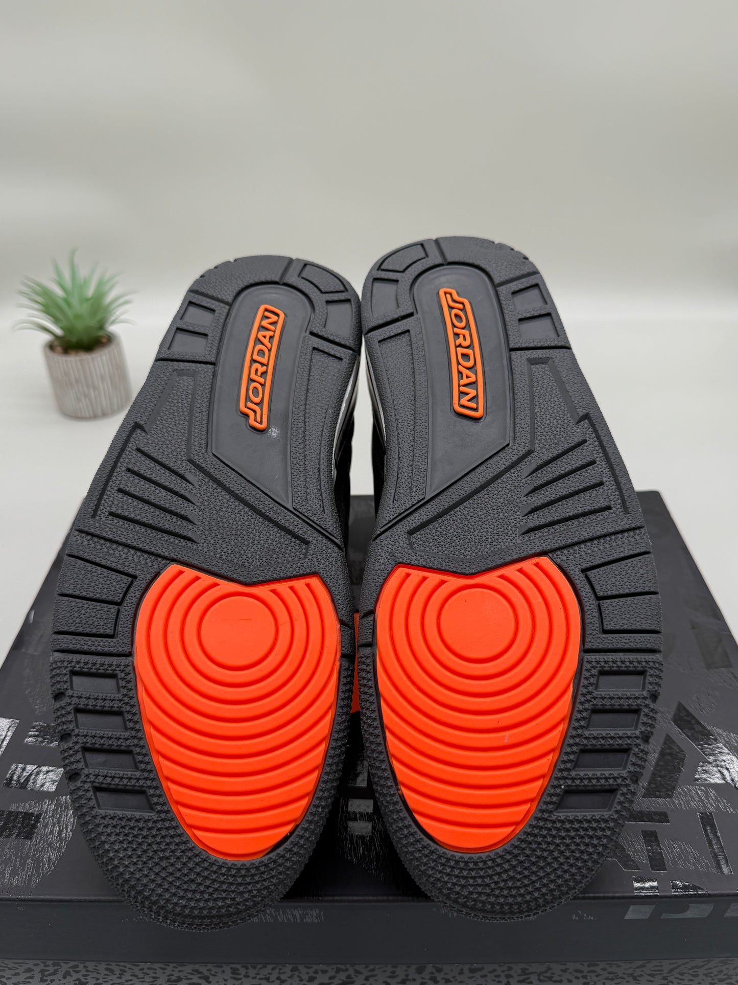 Jordan 3 Fear