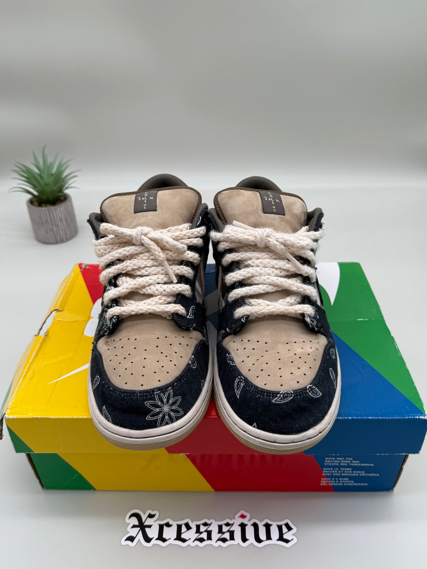 Nike SB Dunk Low Travis Scott