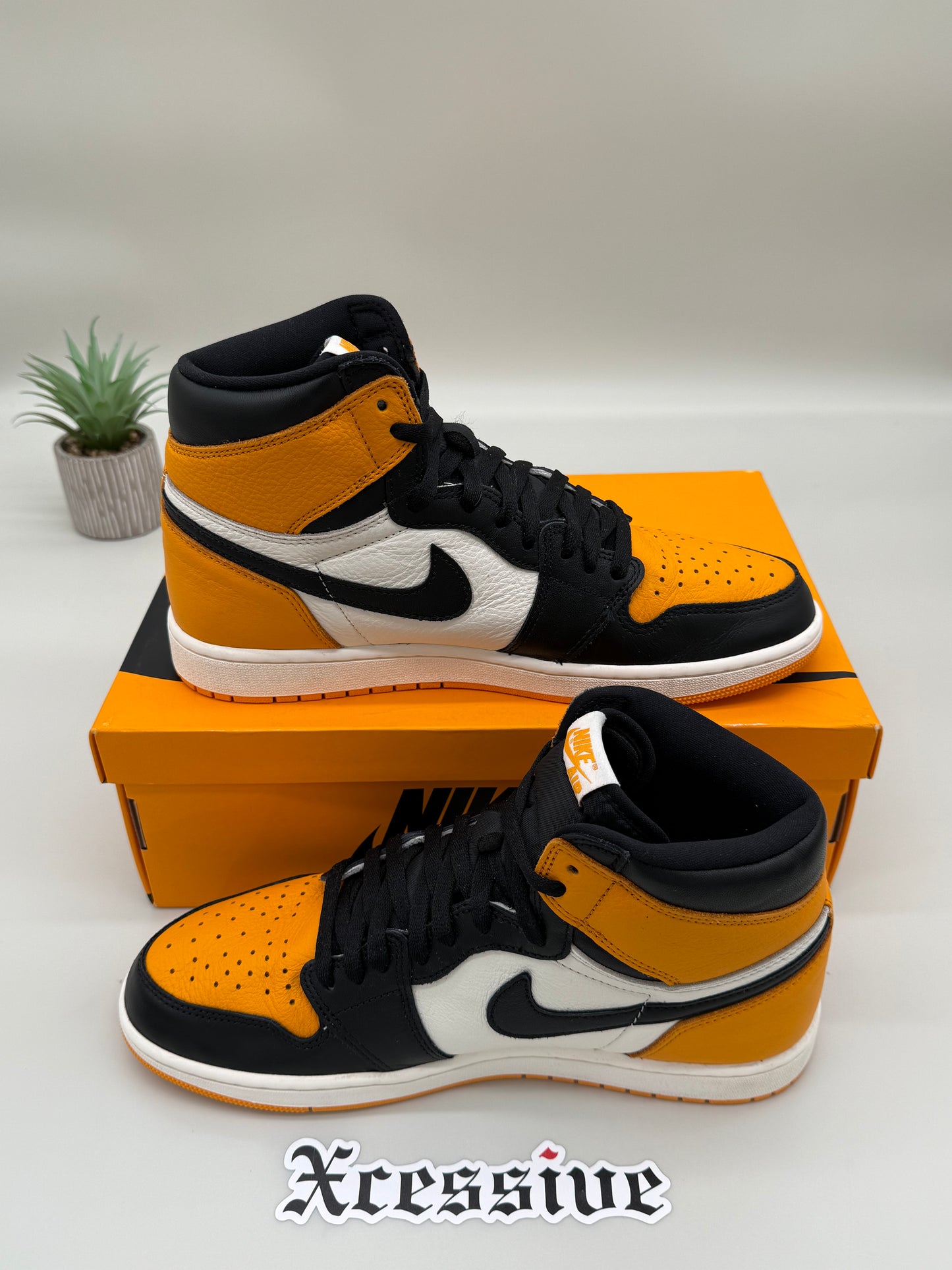 Jordan 1 Taxi