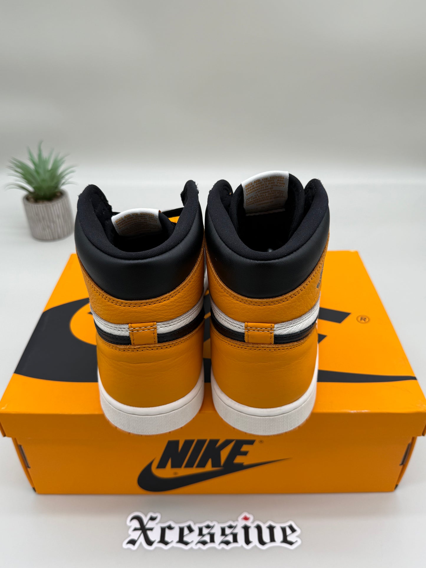 Jordan 1 Taxi