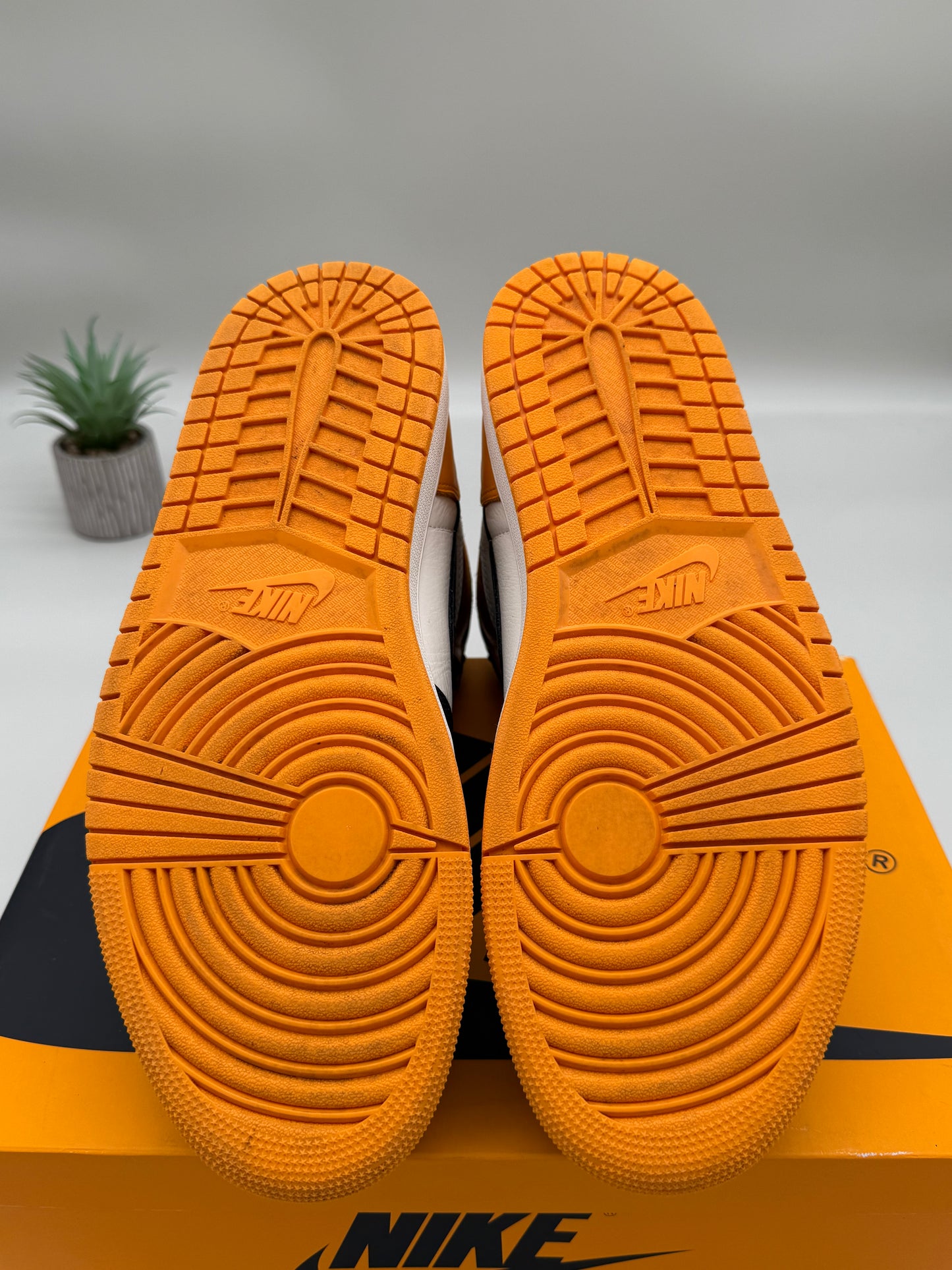 Jordan 1 Taxi