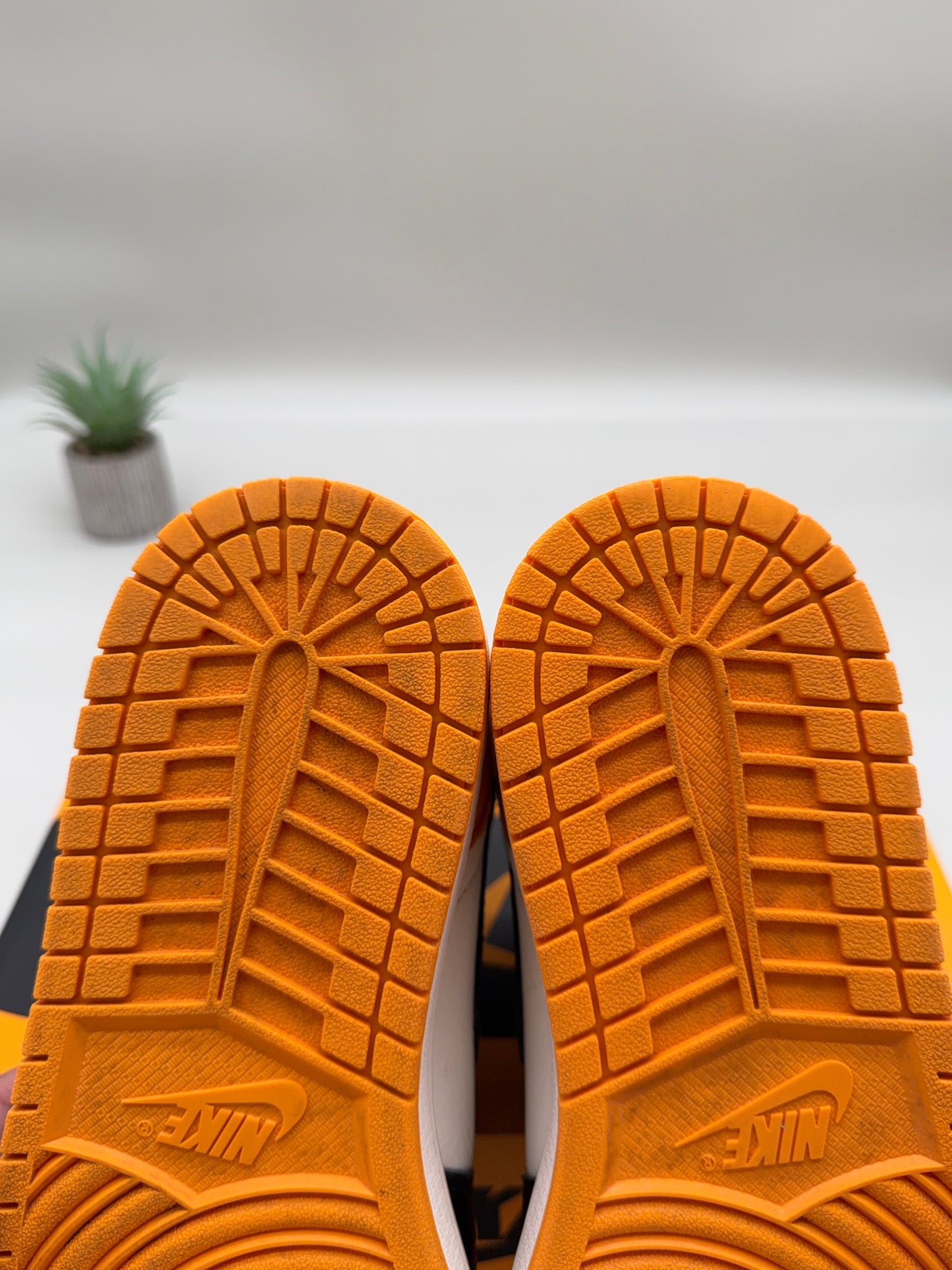 Jordan 1 Taxi