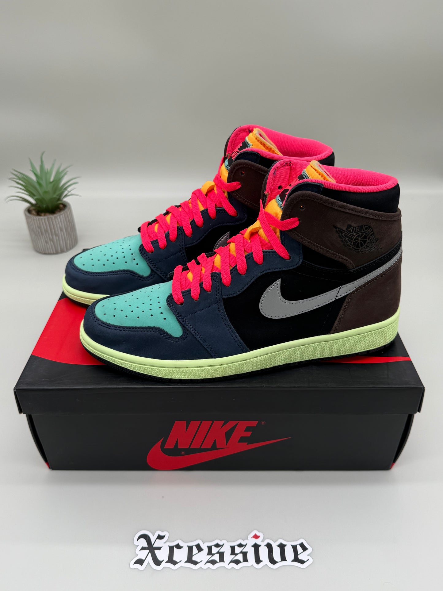 Jordan 1 Bio Hack