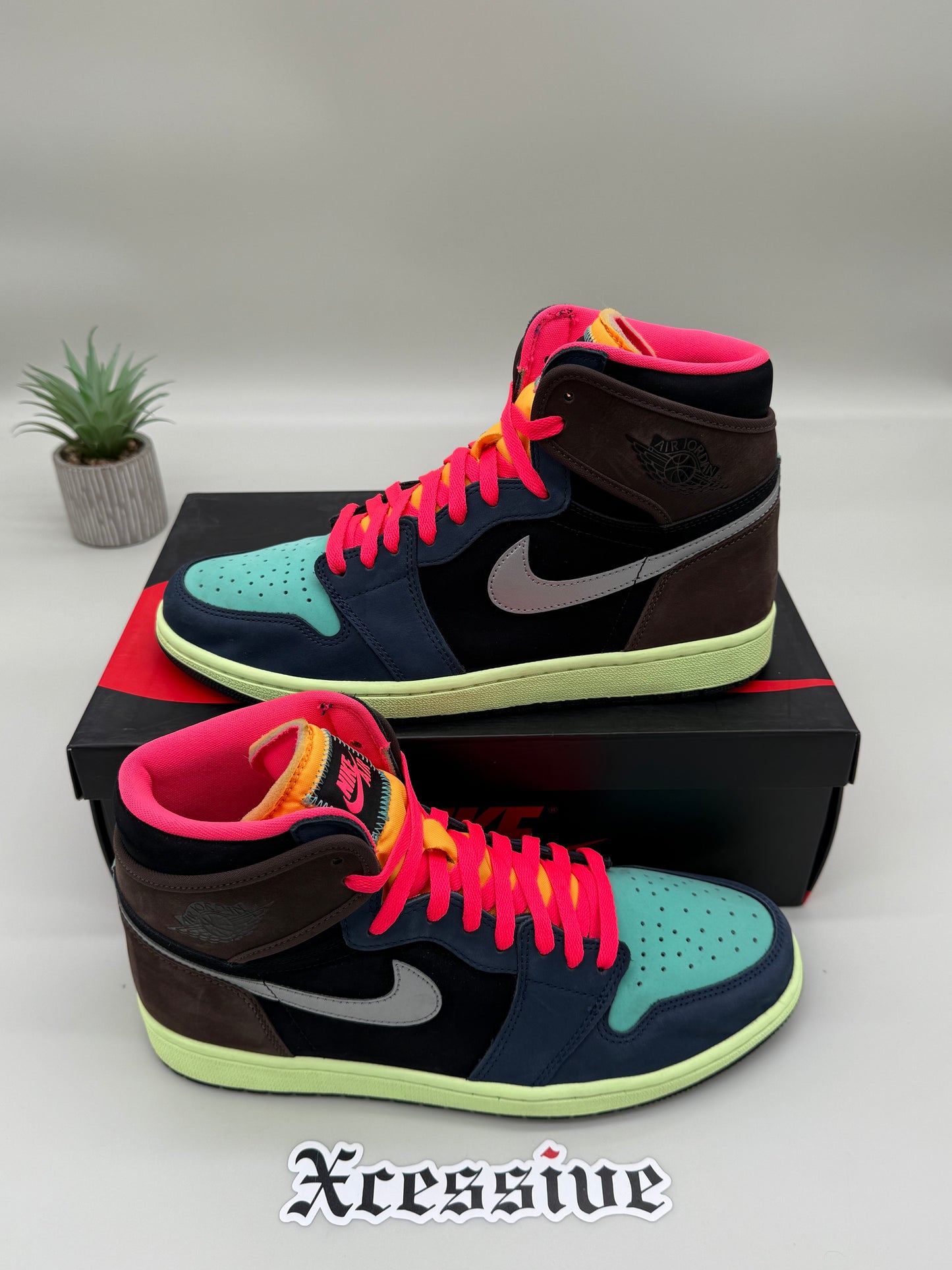 Jordan 1 Bio Hack