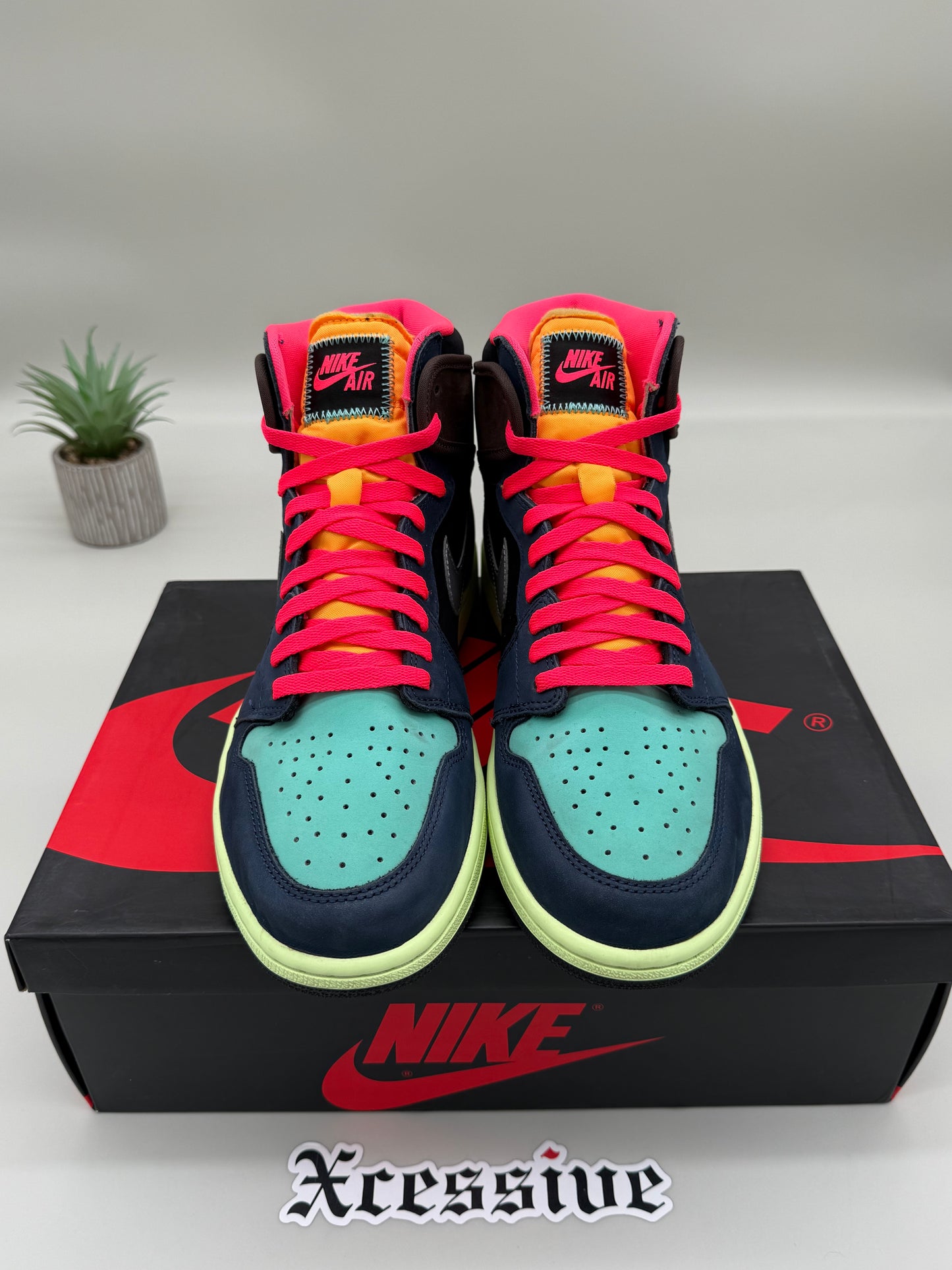 Jordan 1 Bio Hack