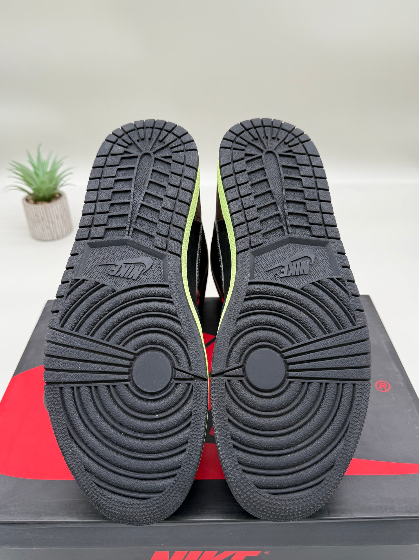 Jordan 1 Bio Hack