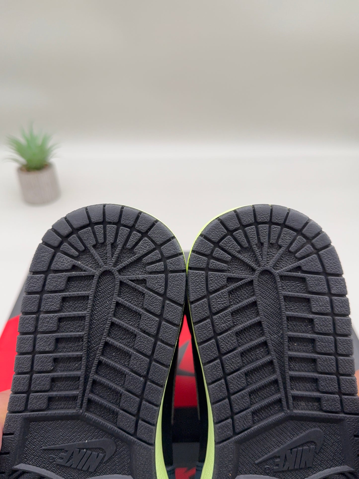 Jordan 1 Bio Hack