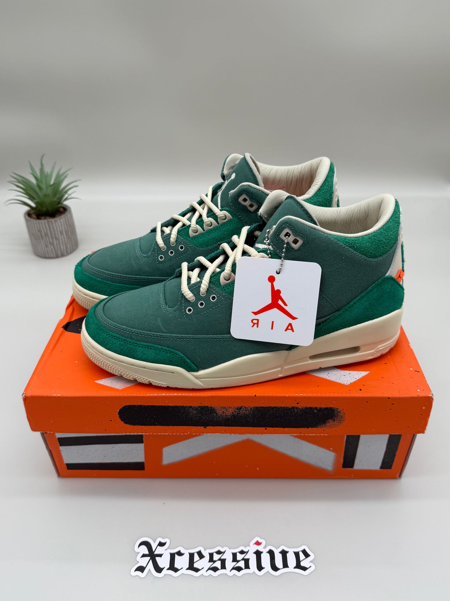 Jordan 3 Nina Chanel Bicoastal