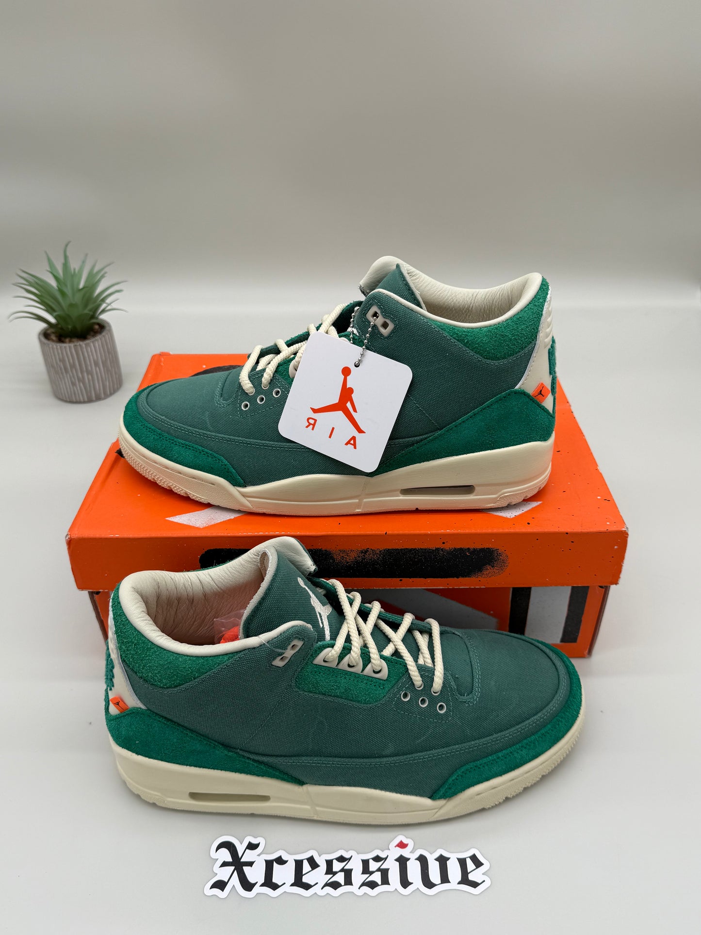 Jordan 3 Nina Chanel Bicoastal