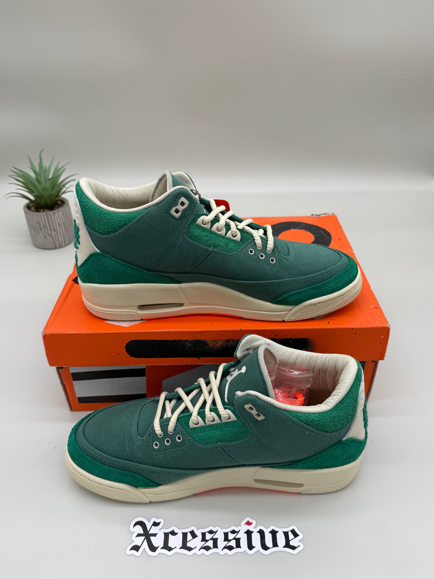 Jordan 3 Nina Chanel Bicoastal
