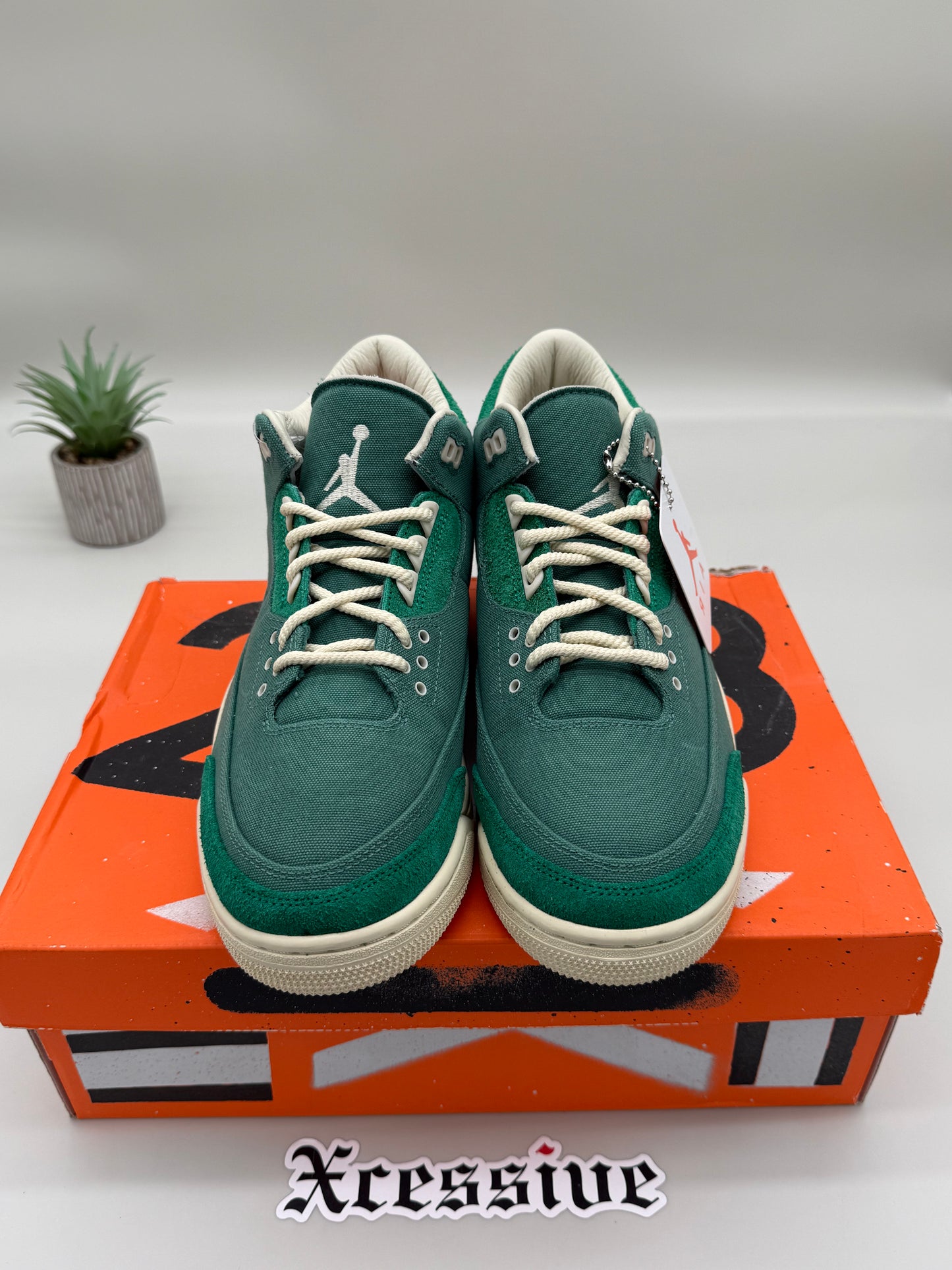 Jordan 3 Nina Chanel Bicoastal
