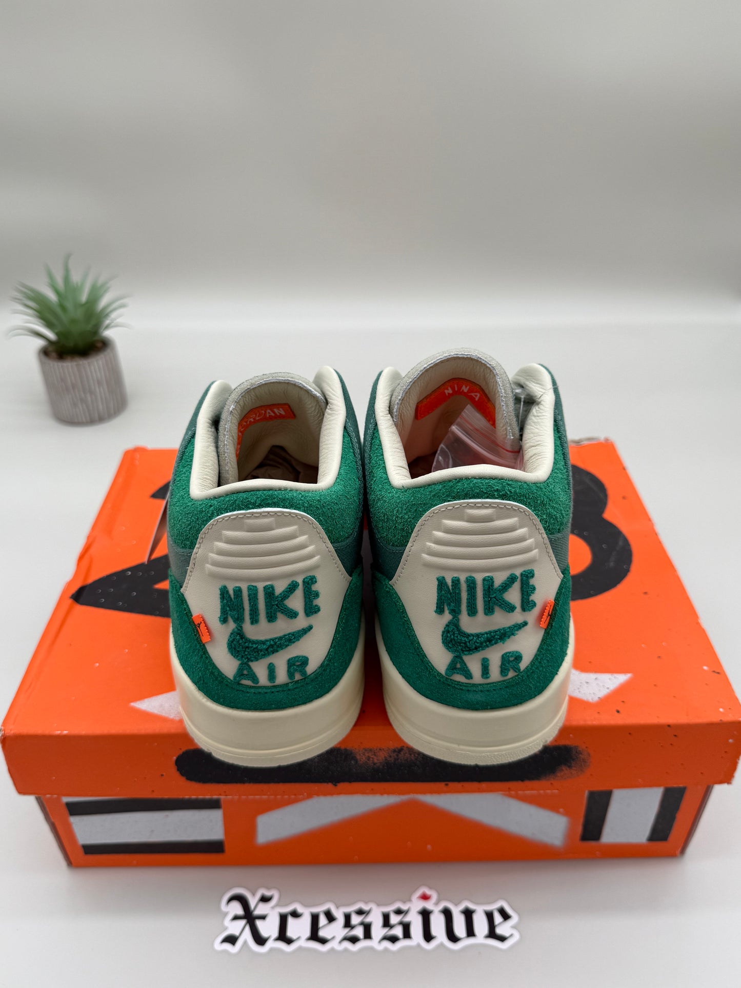 Jordan 3 Nina Chanel Bicoastal