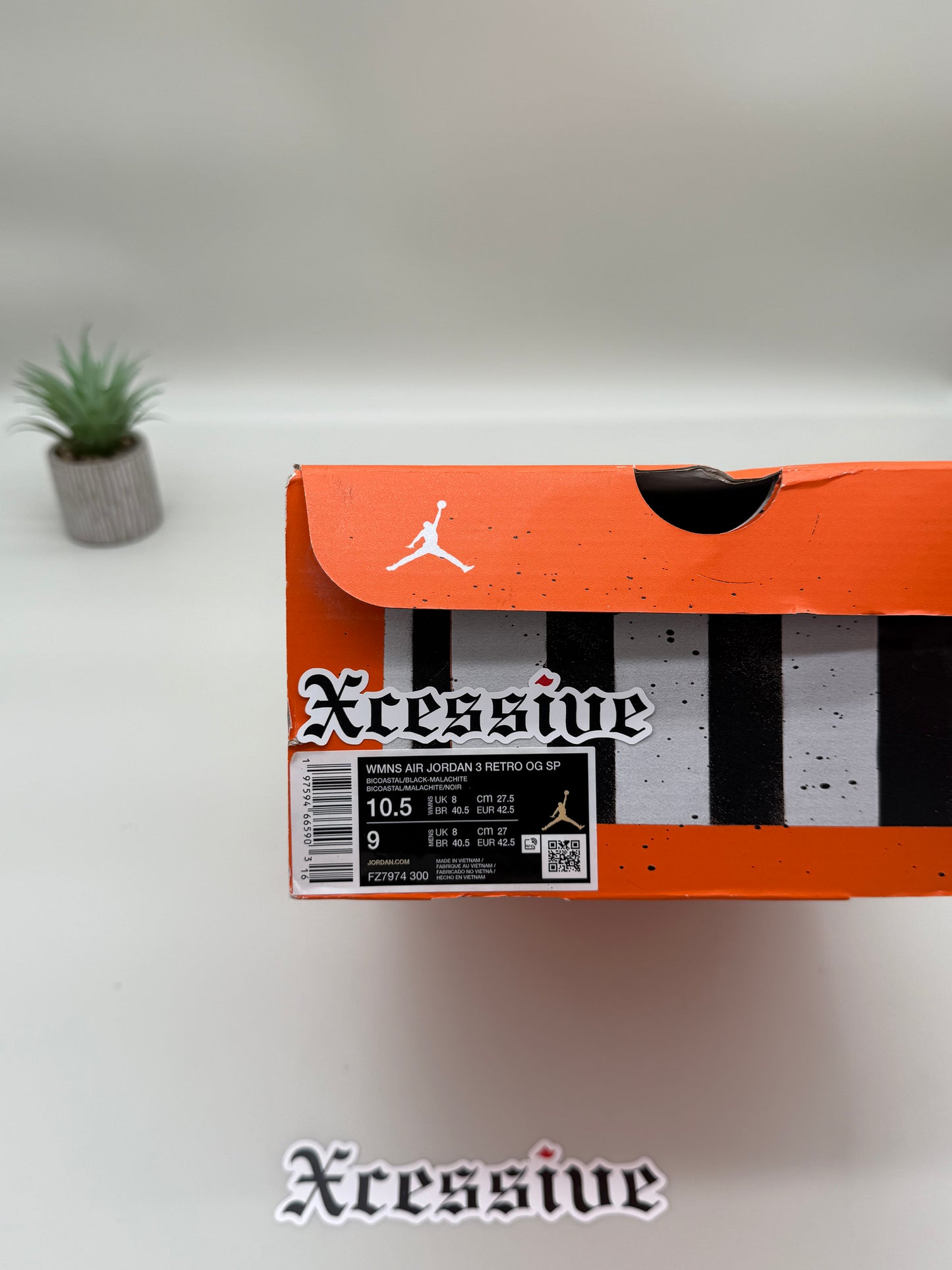 Jordan 3 Nina Chanel Bicoastal