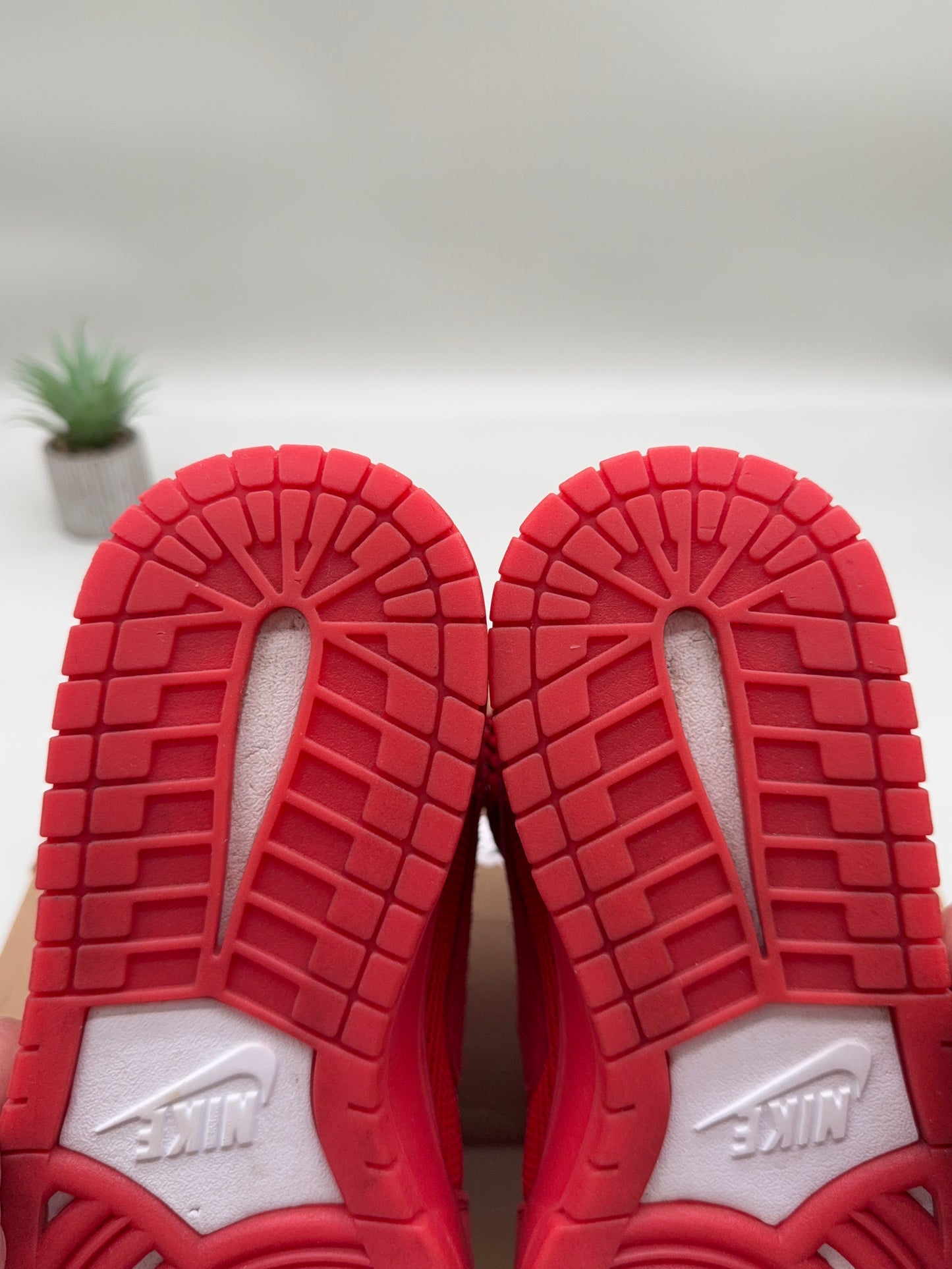 Nike Dunk High Red October