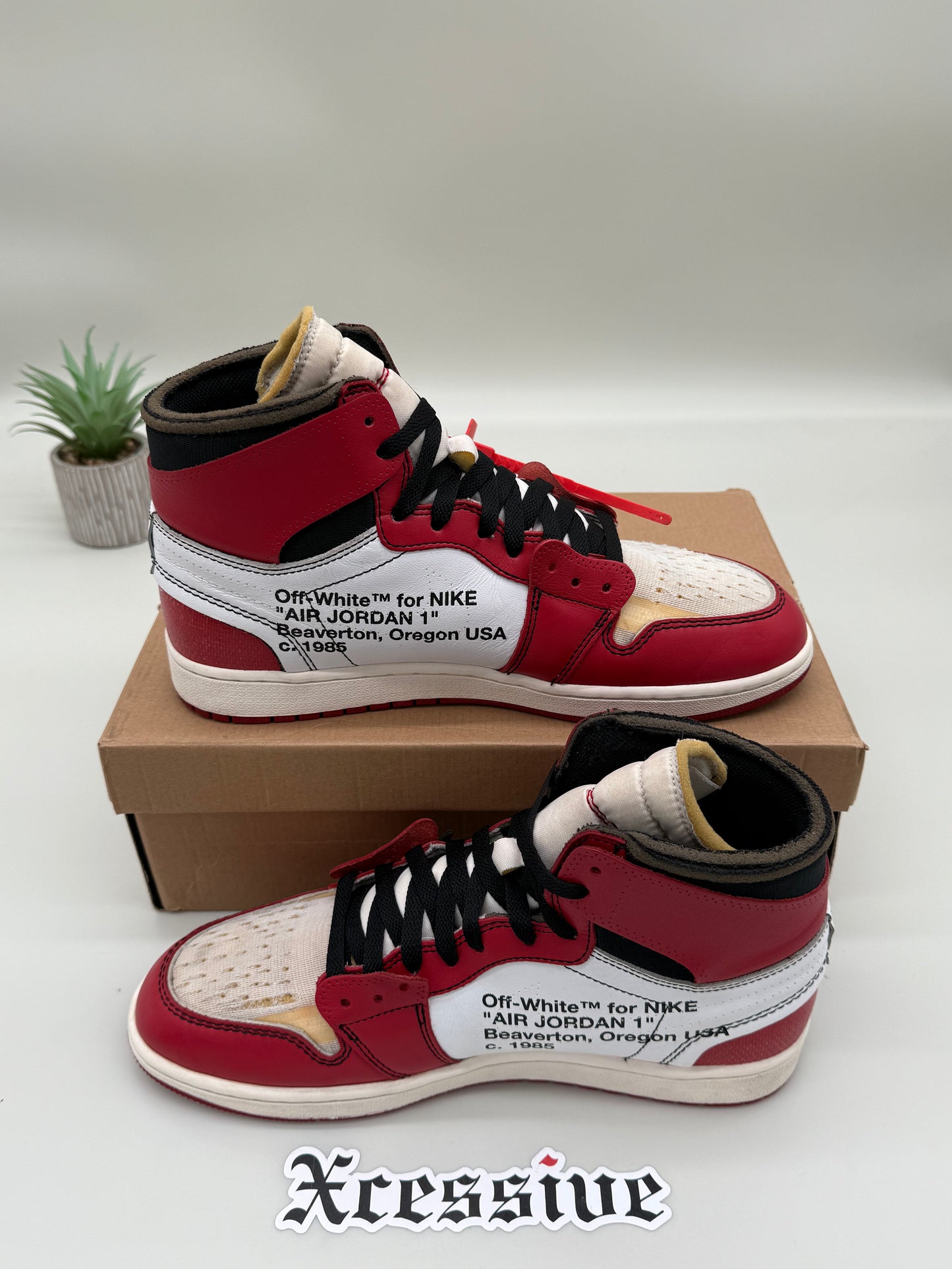 Off-White Jordan 1 Chicago
