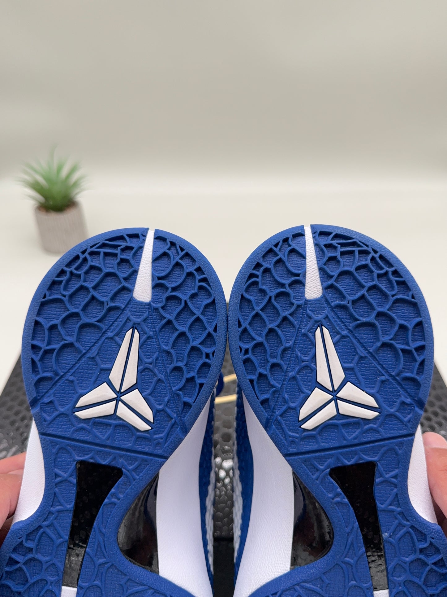 Nike Kobe 6 Dodgers