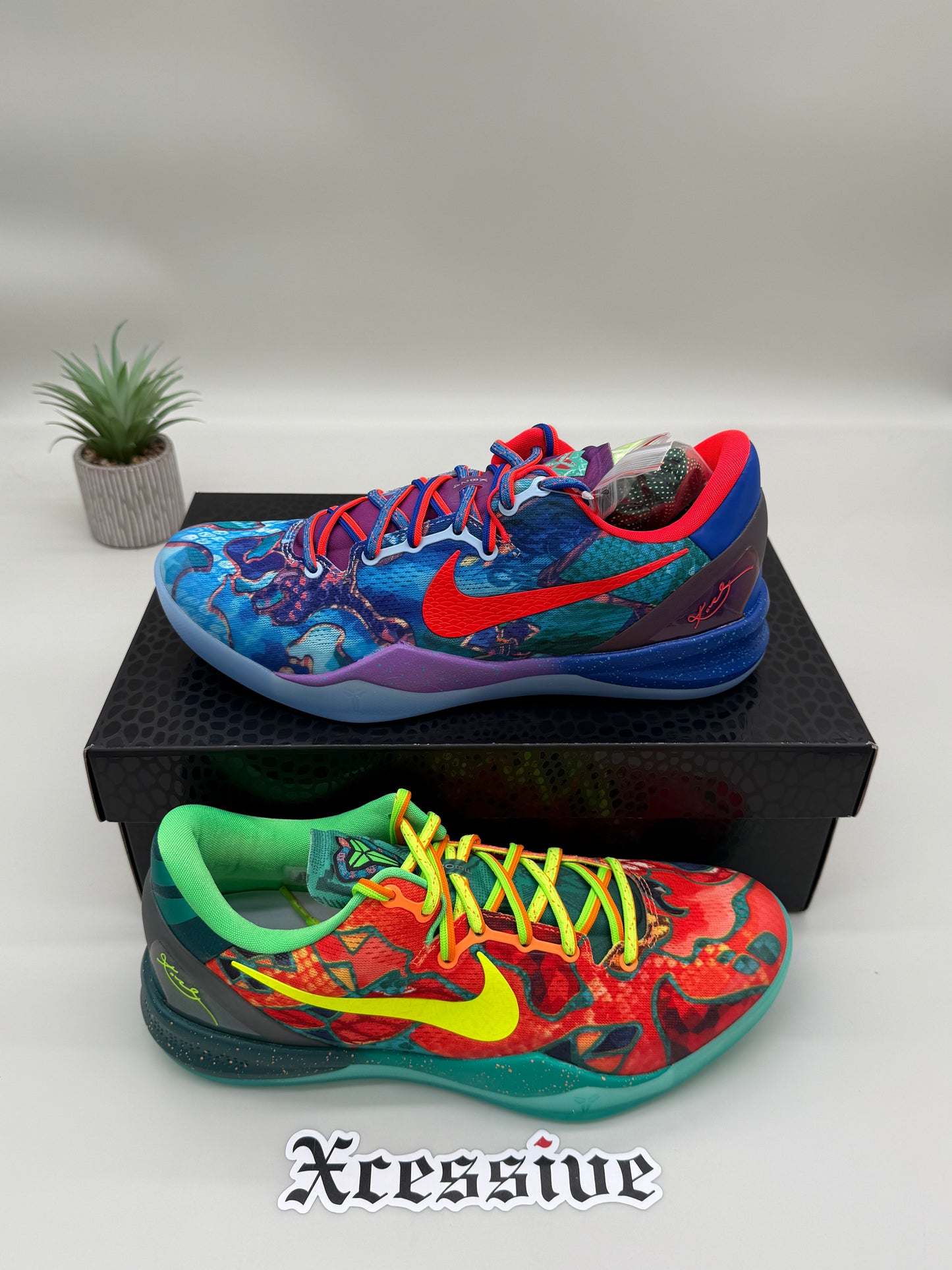 Nike Kobe 8 What The
