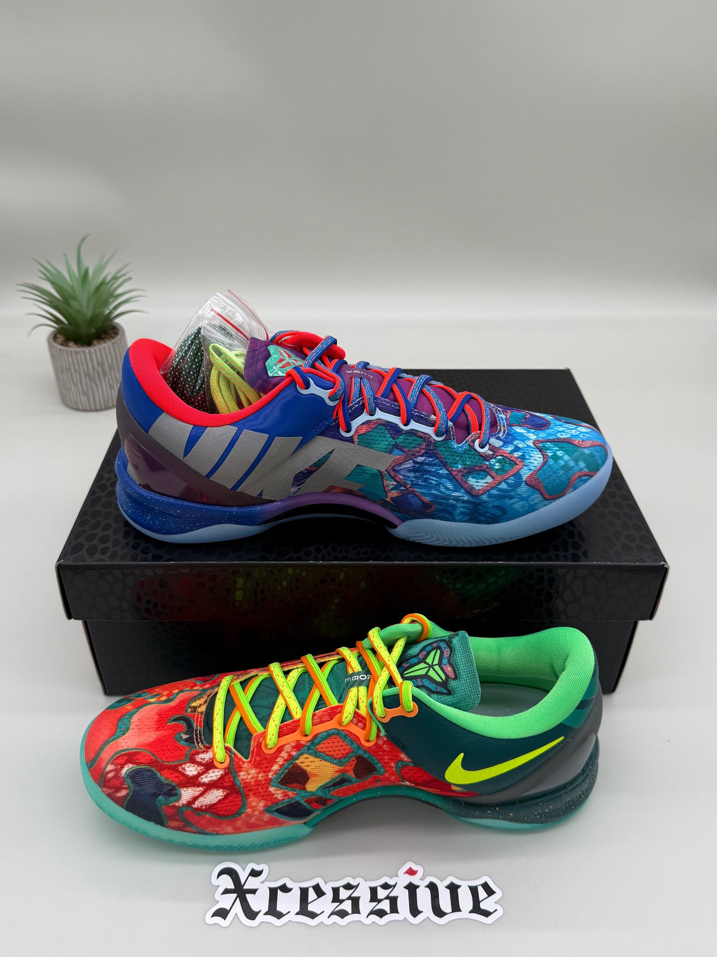 Nike Kobe 8 What The