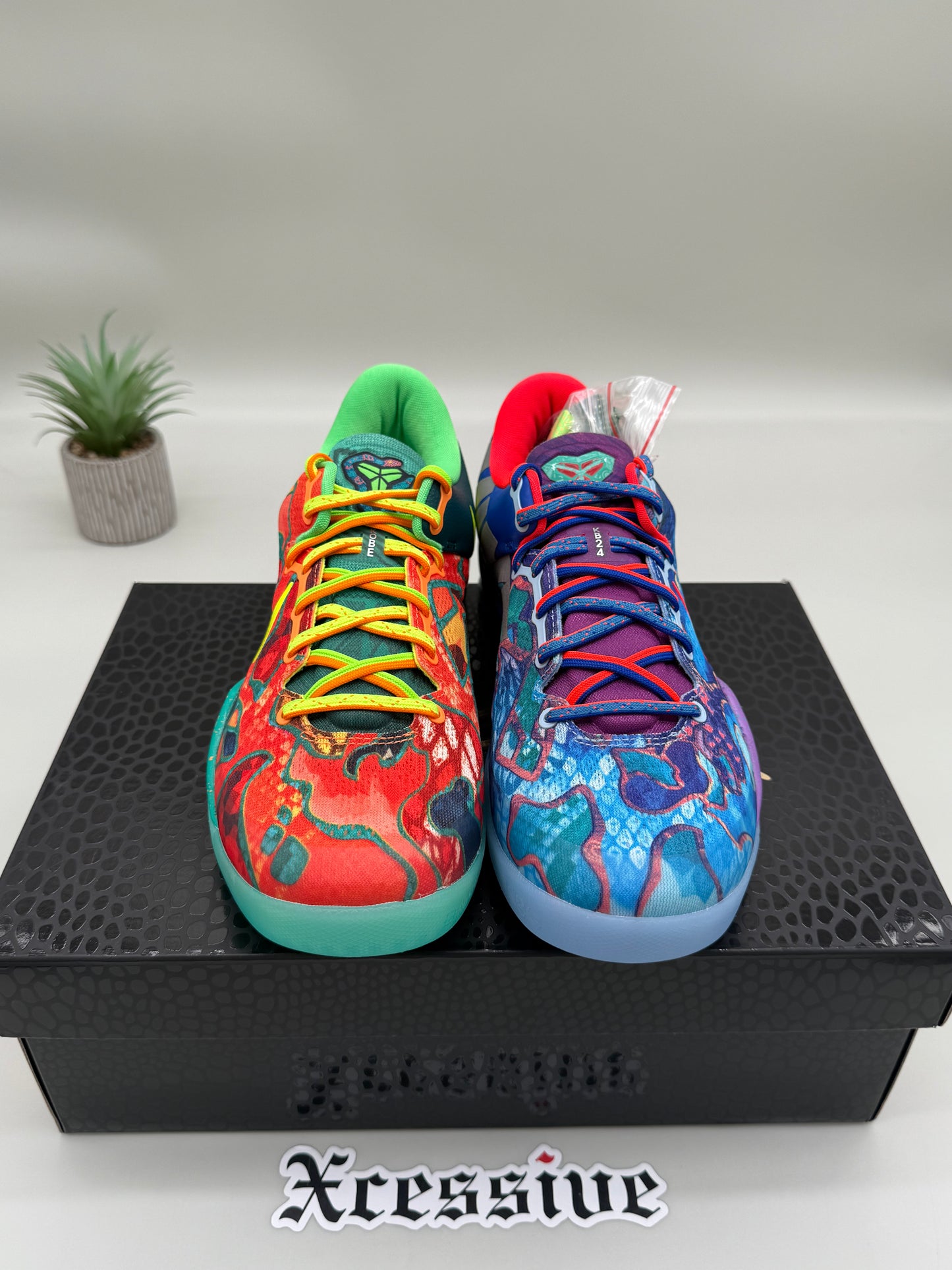 Nike Kobe 8 What The