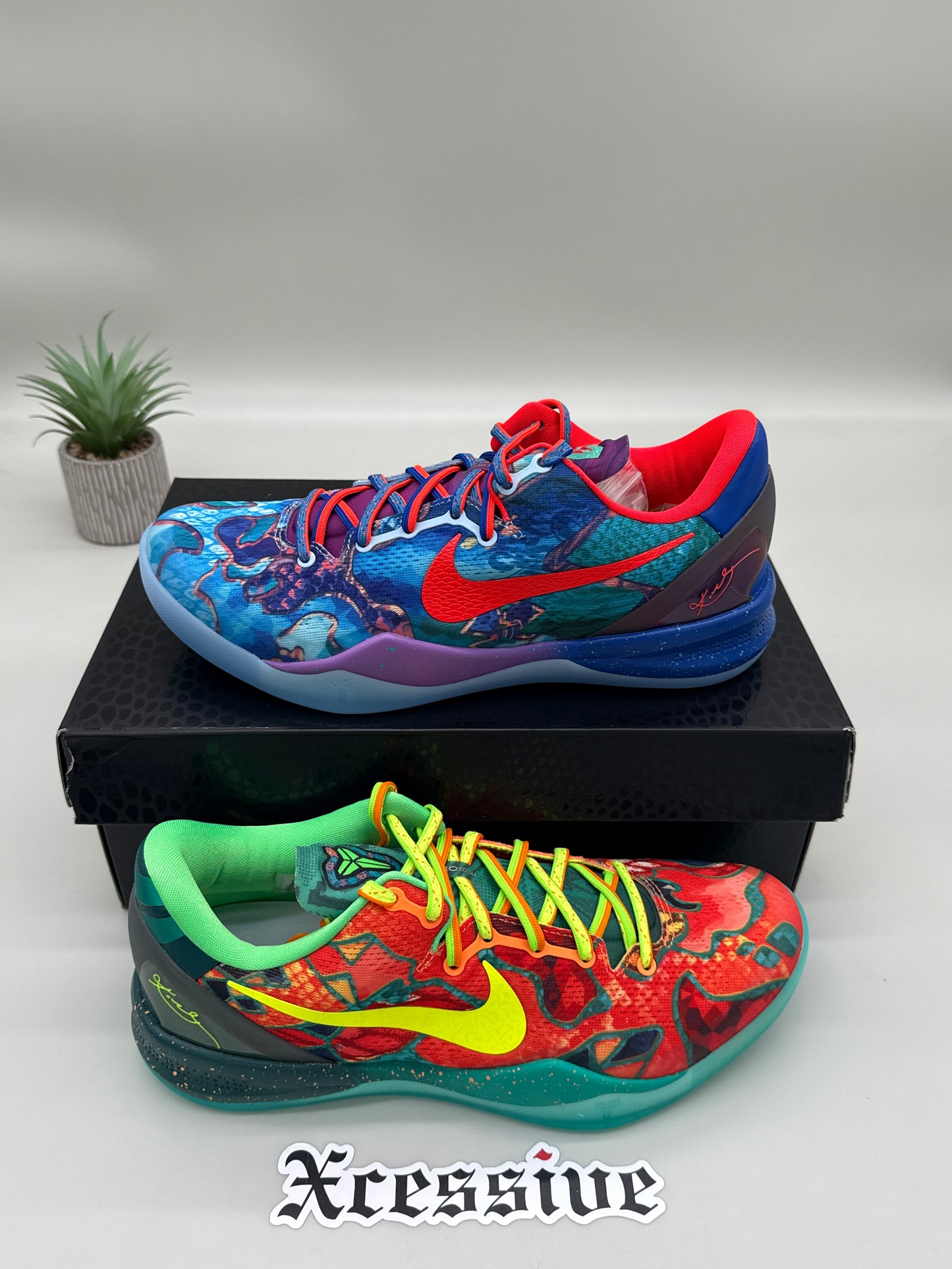 Nike Kobe 8 What The