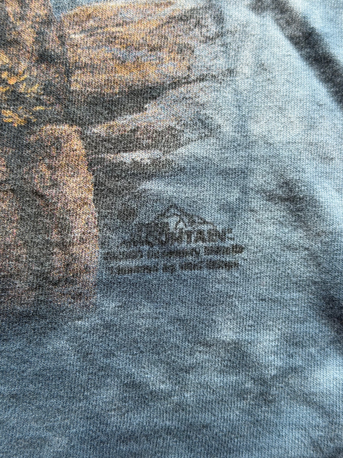 Y2K The Mountain American Eagle Tee