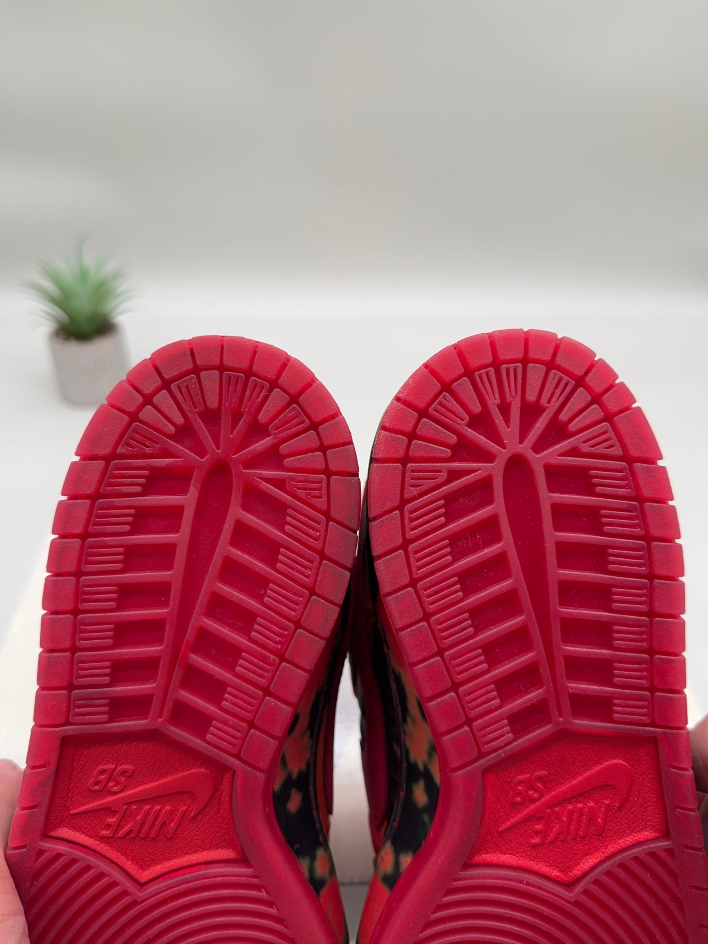 Nike SB Dunk Low The Wizard of Oz Poppy Field