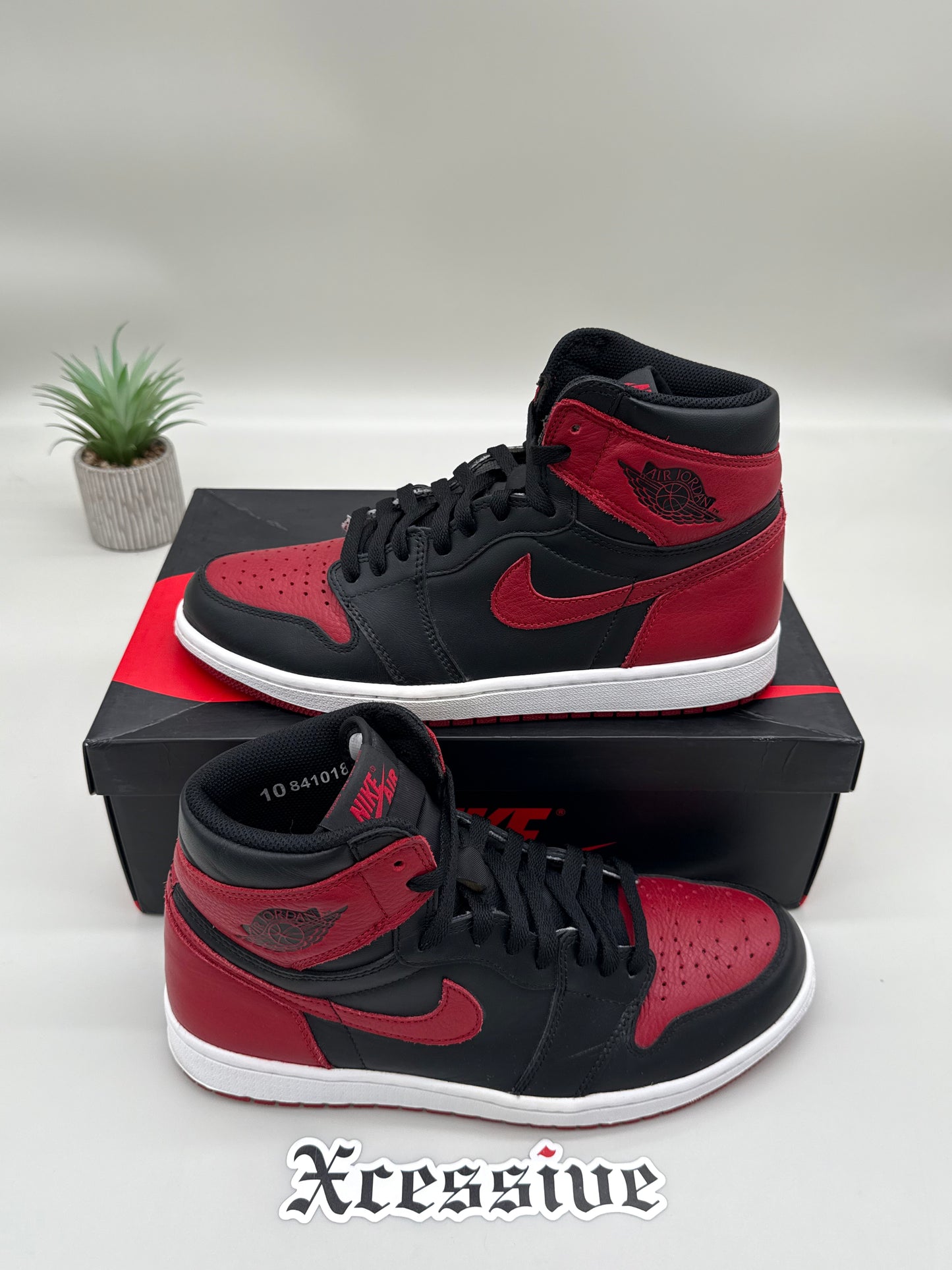 Jordan 1 Banned (2016)